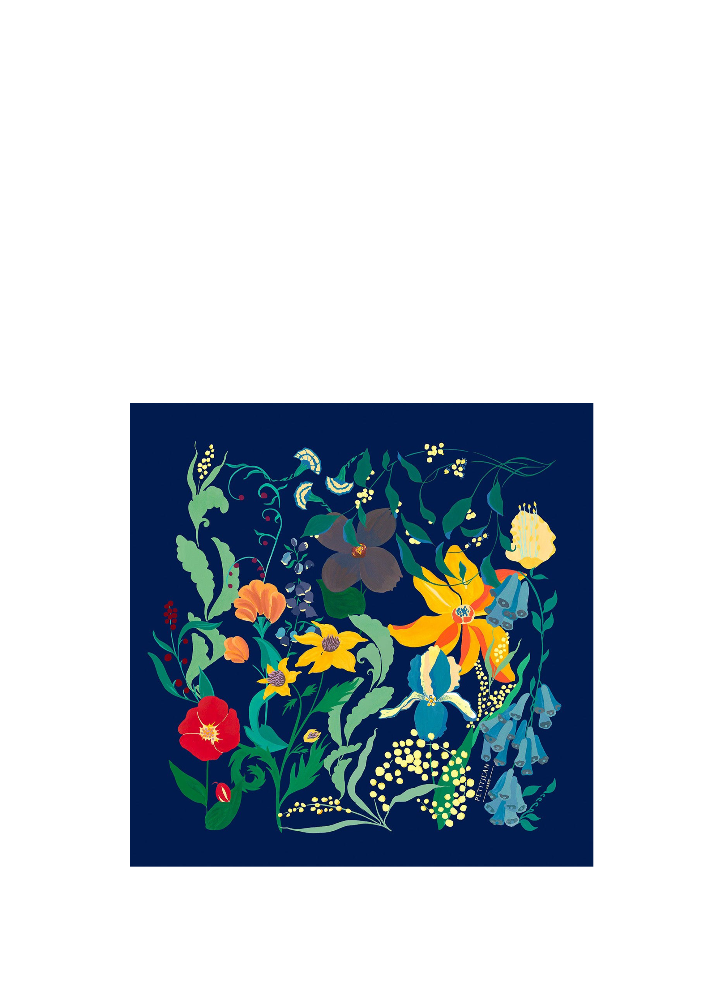 PETITJEAN PARIS Printed silk scarf  Multicolour