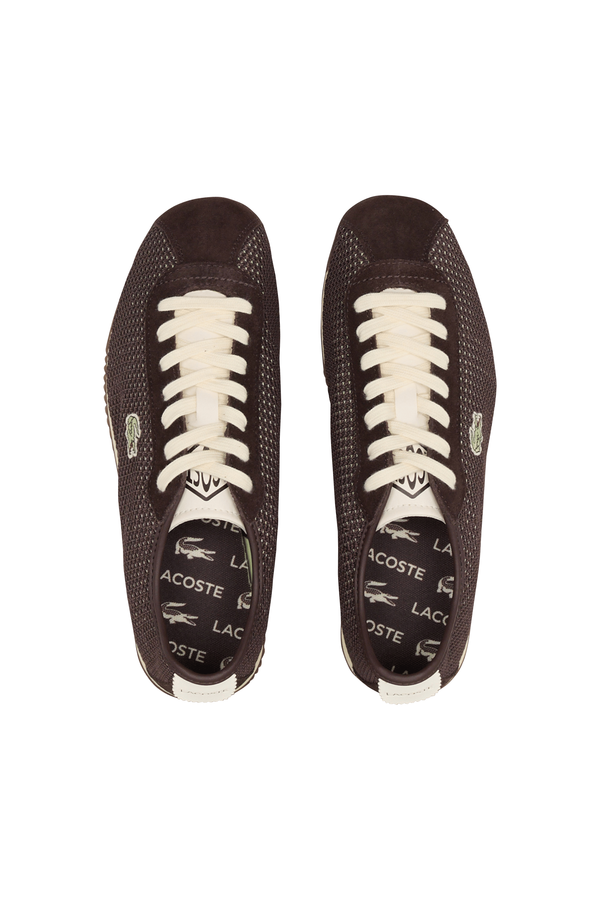 Baskets club-low LACOSTE Marron