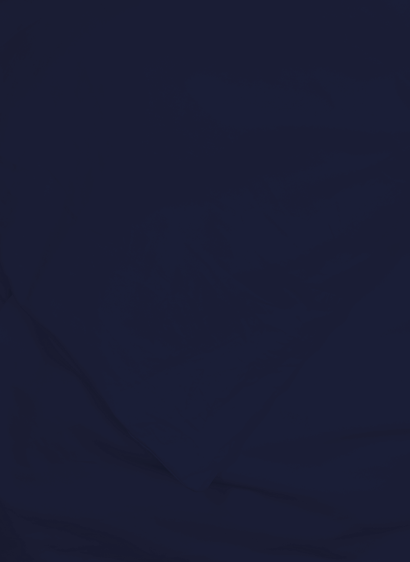 Duvet cover AU PRINTEMPS PARIS Blue