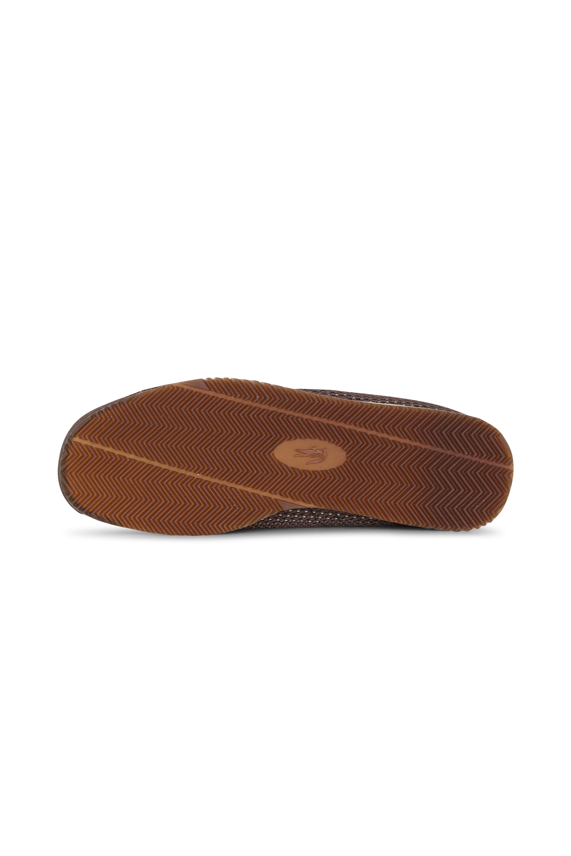 Baskets club-low LACOSTE Marron