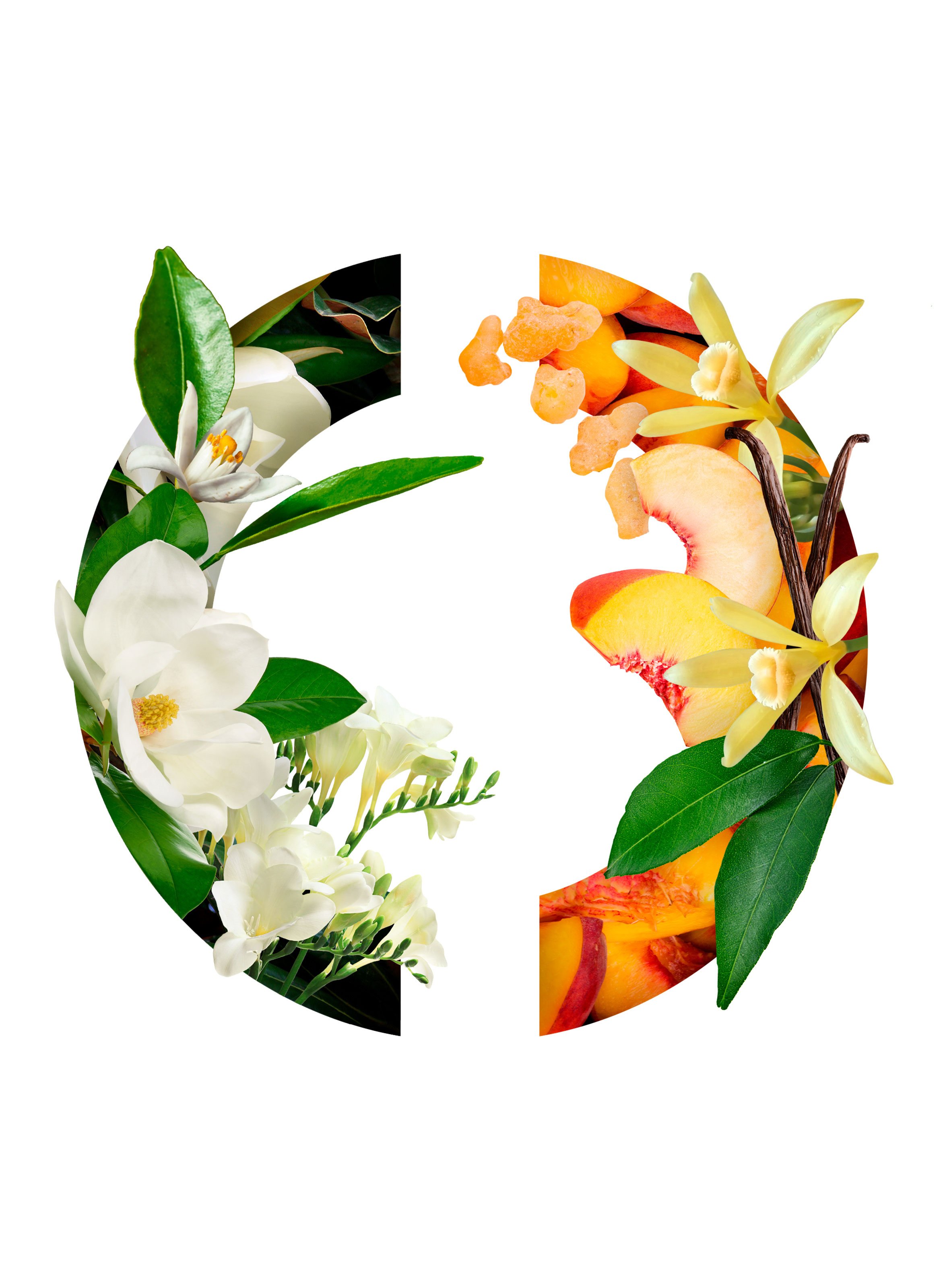 Eau de Parfum - Lady Caron No color