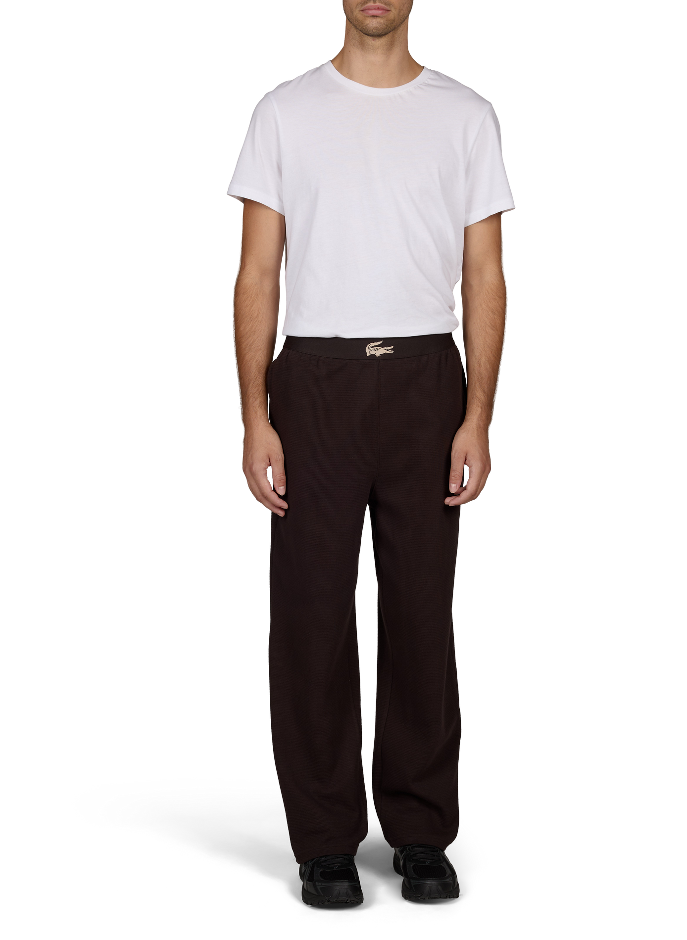 Straight cotton trousers  LACOSTE Brown