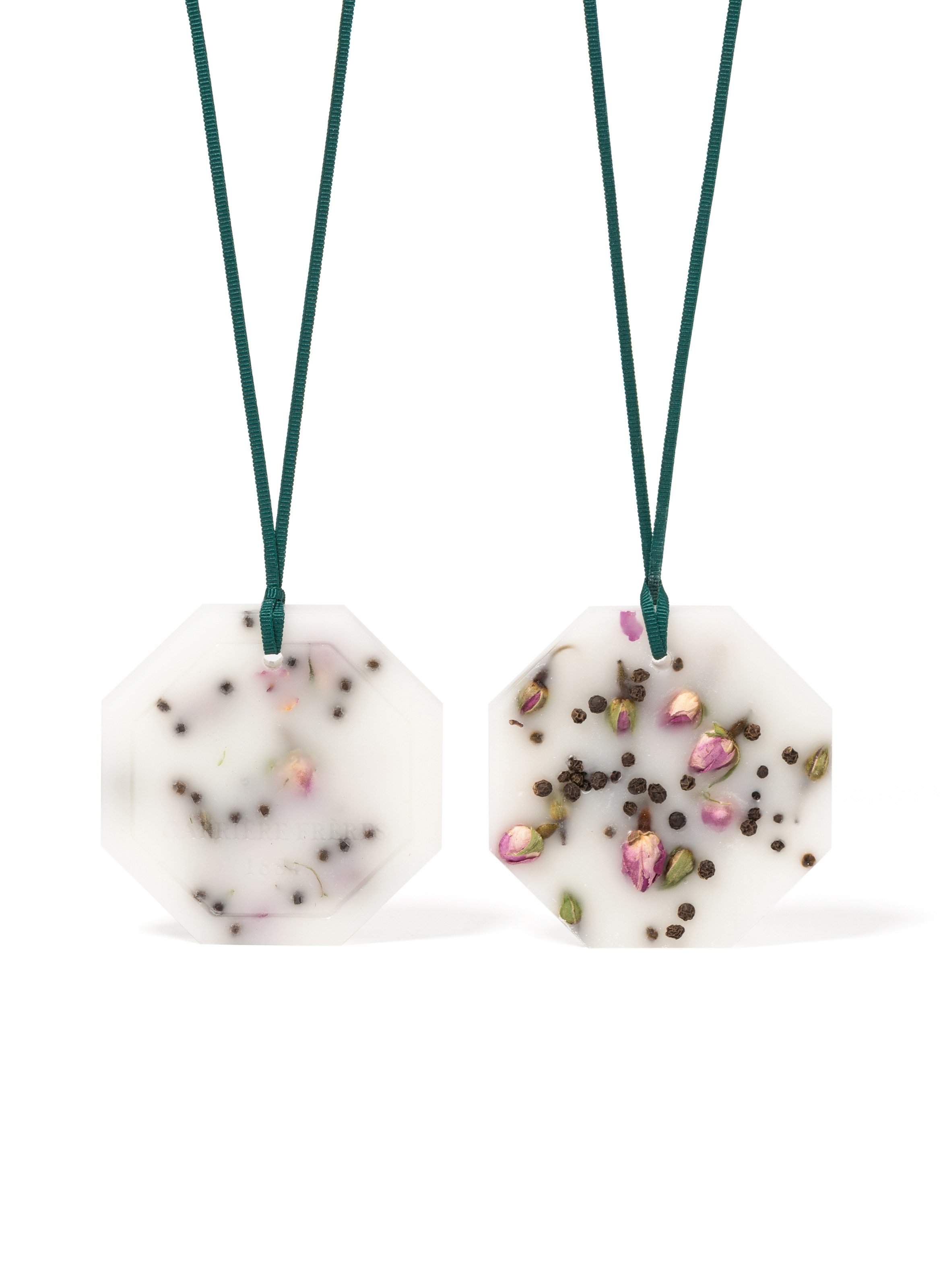 Palet botanique La Rose Aime Le Poivre