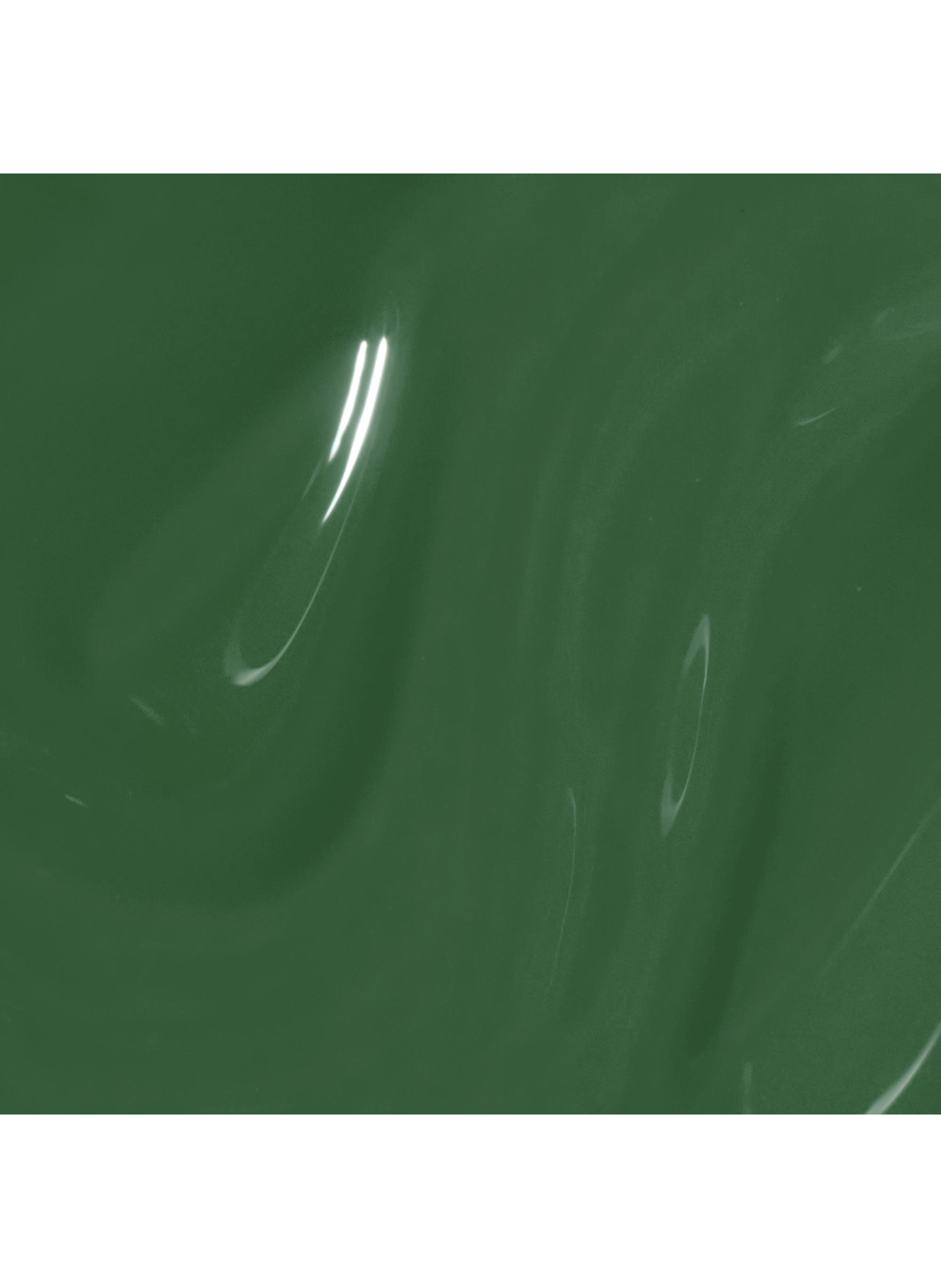 Happily Evergreen After
Infinite Shine
Long-lasting gel effect nail polish OPI Vert