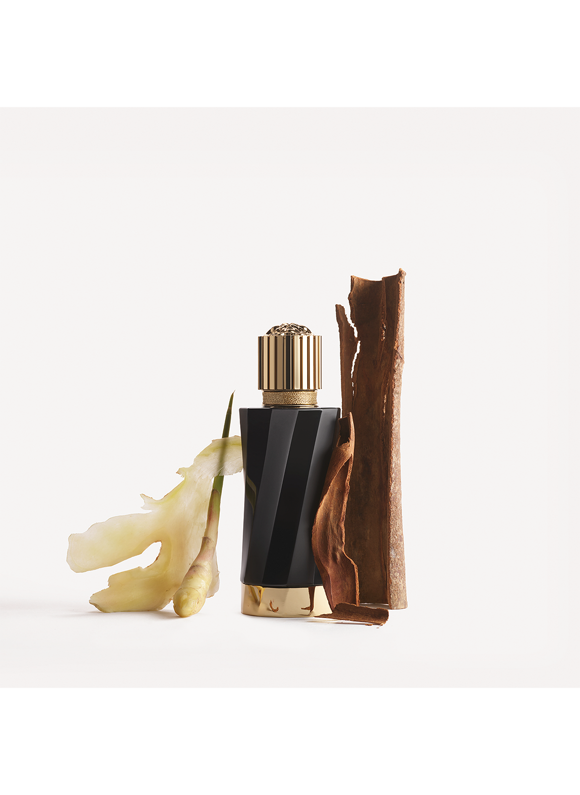 Atelier Versace Sparkling Ginger VERSACE No color