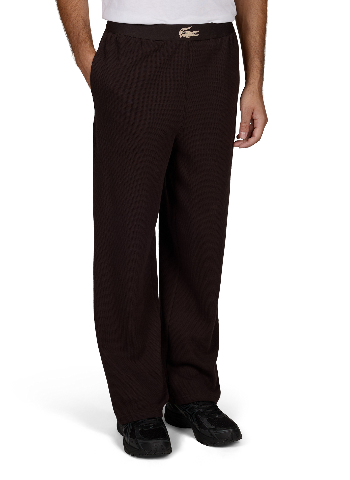 Straight cotton trousers  LACOSTE Brown