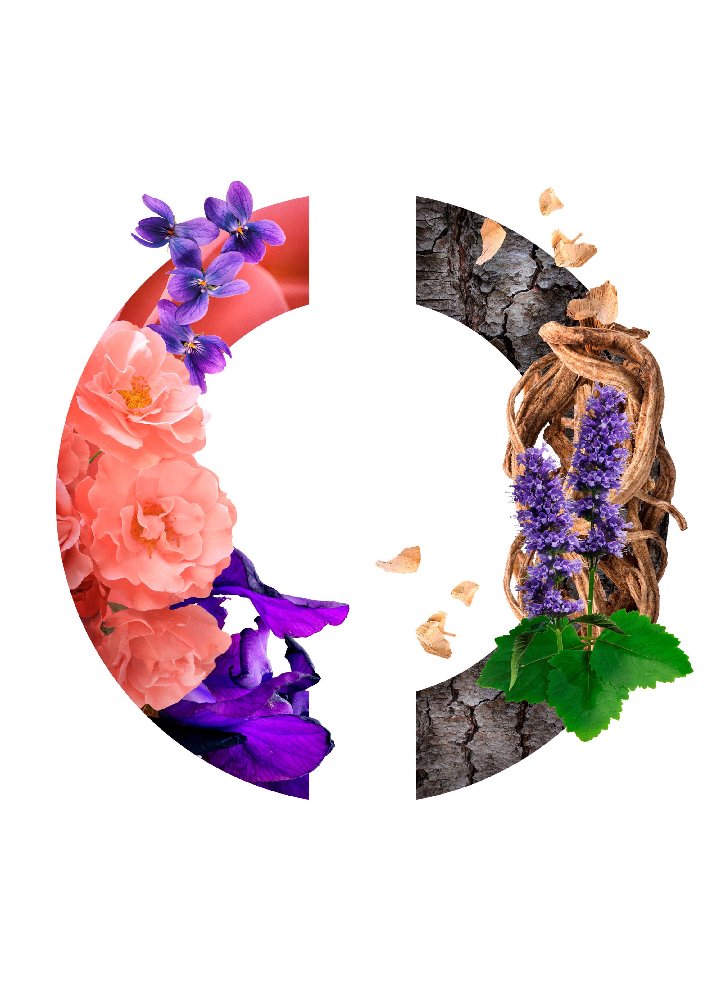 Eau de Parfum - N'Aimez Que Moi No color