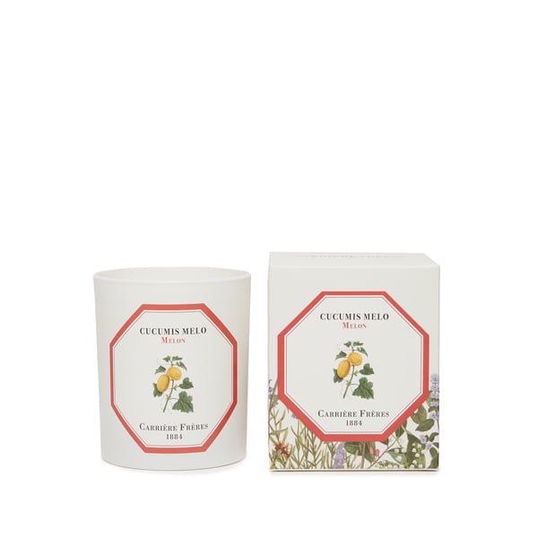 Bougie Parfumée Melon - Cucumis Melo - 185 g