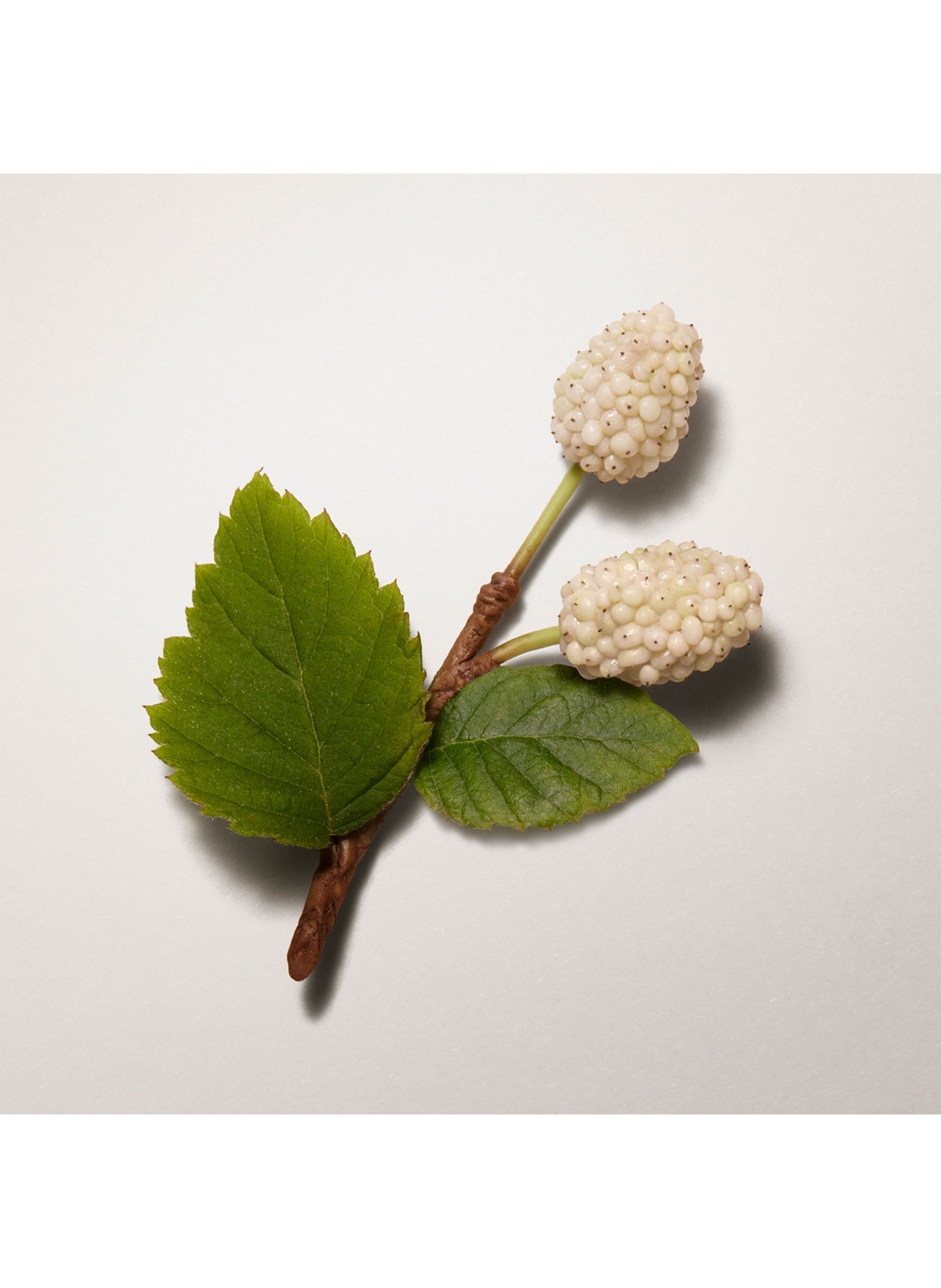 Hermès Plein Air Complexion Balm HERMÈS Sienne