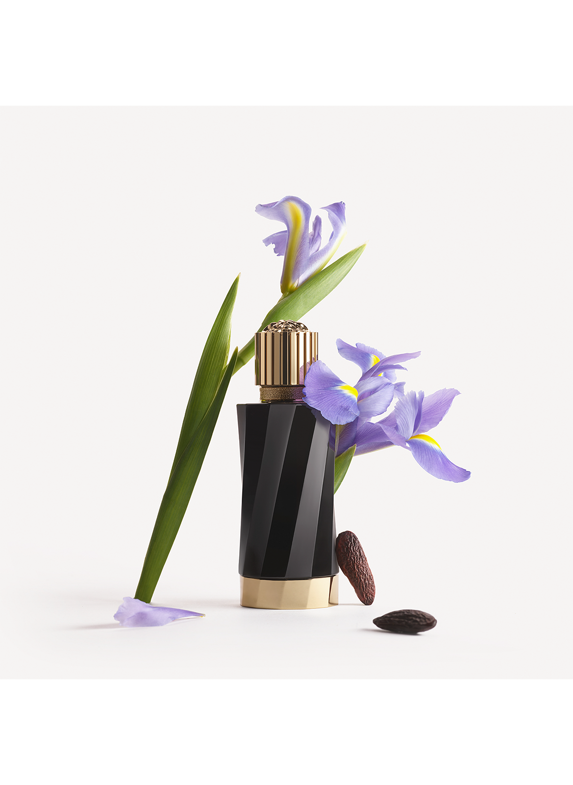 Atelier Versace Iris d’Elite VERSACE No color