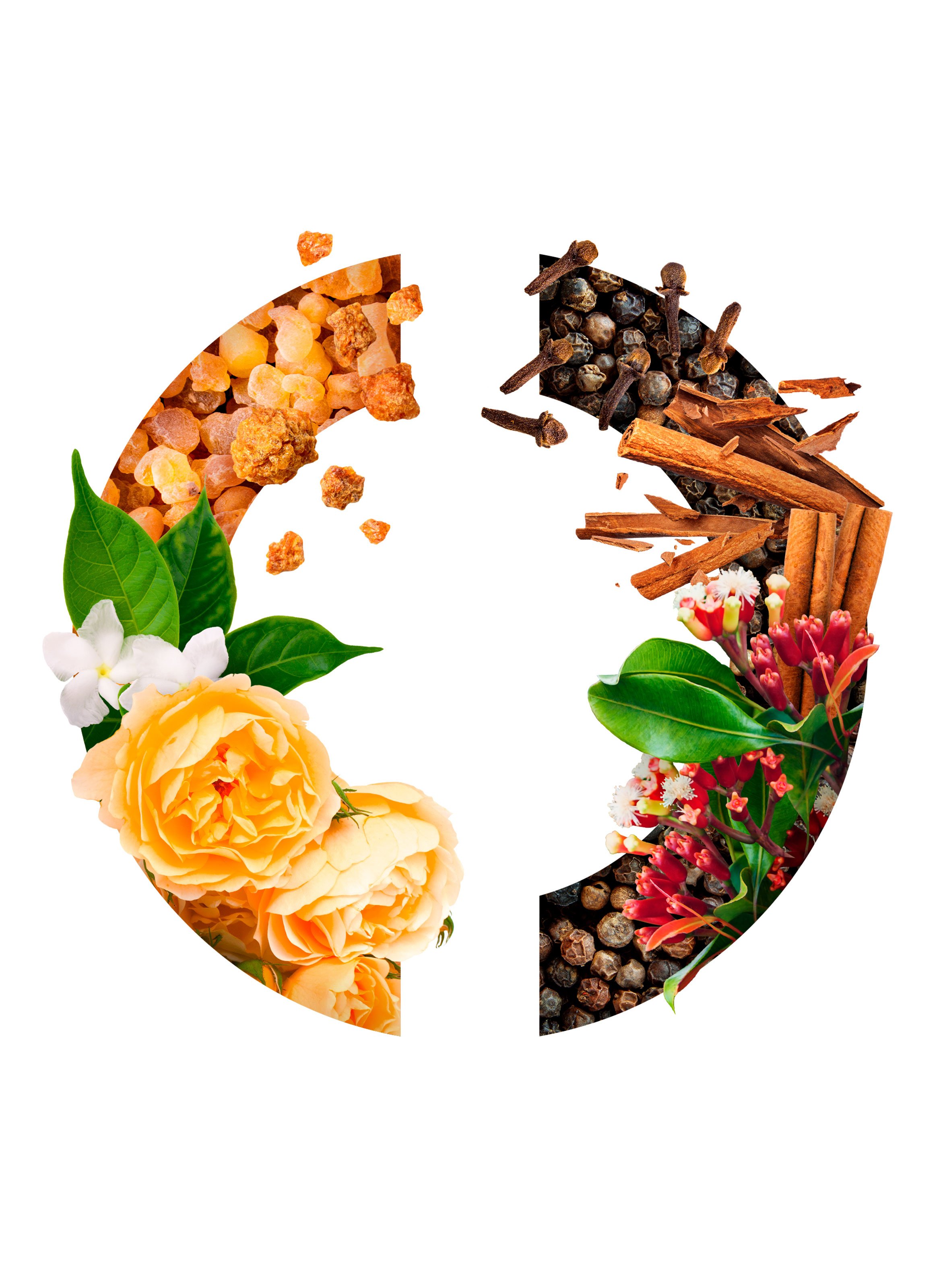 Parfum Sacré - Eau de parfum CARON No color