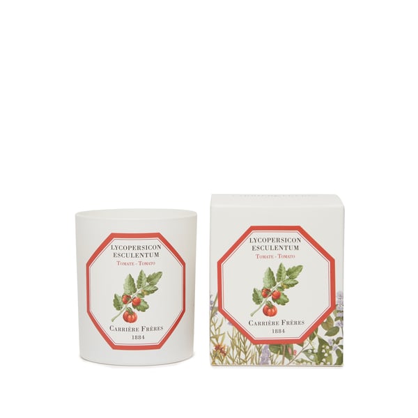 Bougie Parfumée Tomate - Lycopersicon Esculentum - 185 g