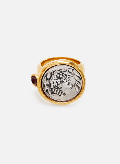 Carthage Fauna Ring in Brass SilverGOOSSENS 