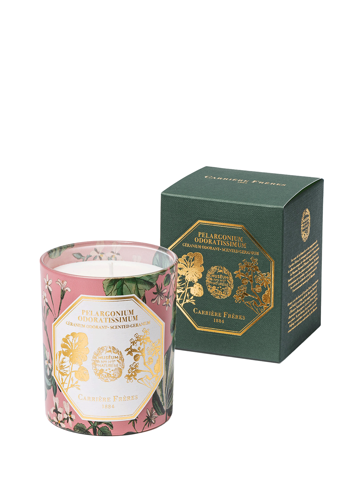 Pelargonium Odoratissimum scented candle - Geranium CARRIERE FRERES No color