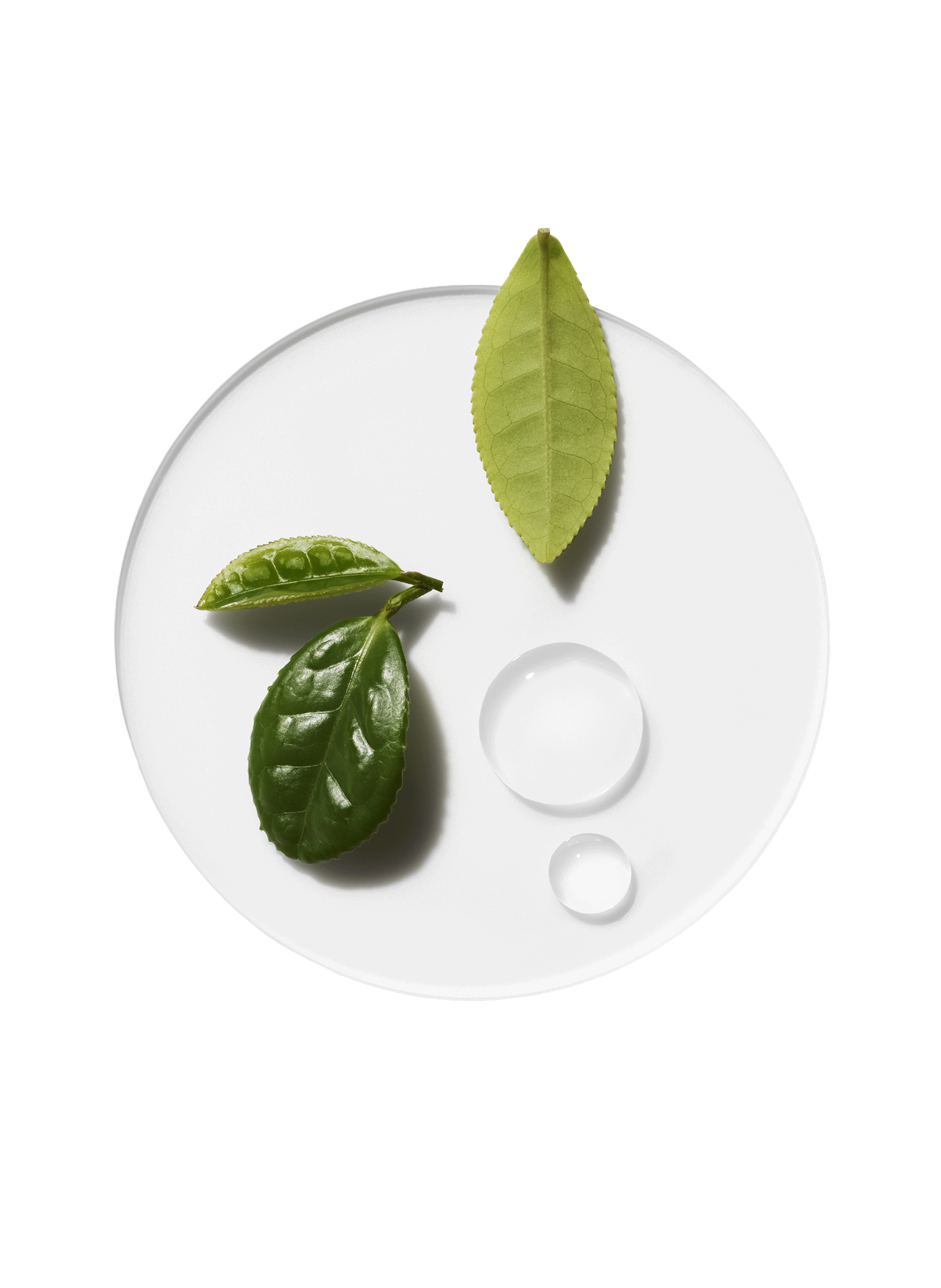 Moisture Surge Eye - 96-Hour Hydro-Filler Concentrate No color