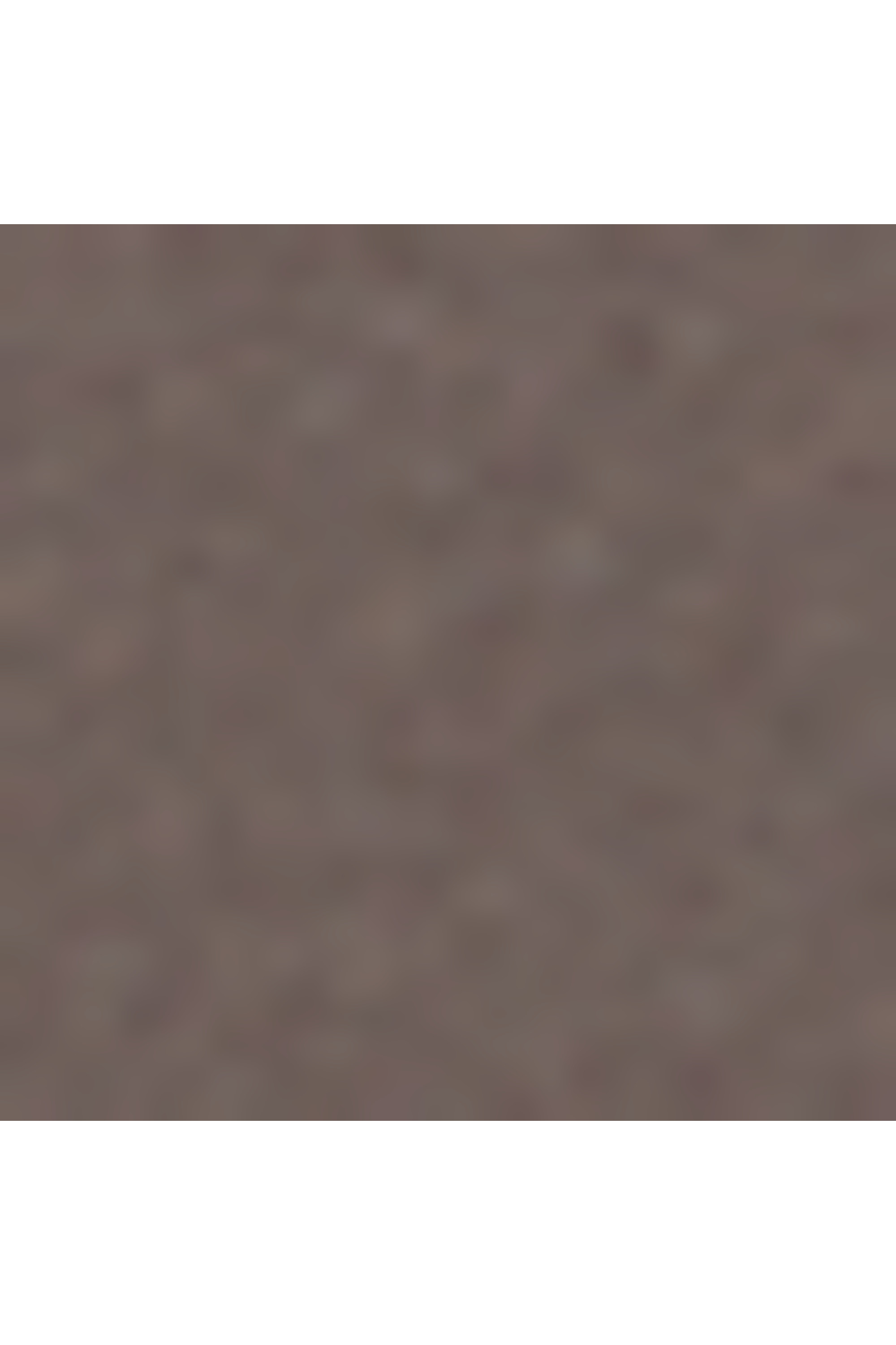 Voyageur sac à dos taille s TUMI Gris