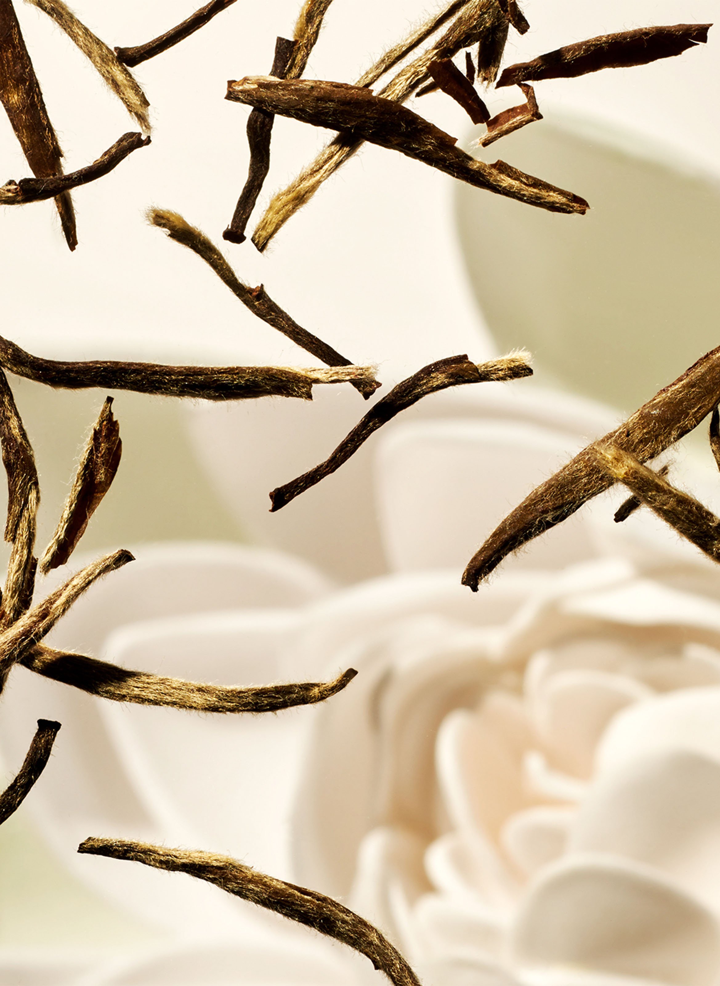 The Ritual of Karma - Scented Candle RITUALS No color