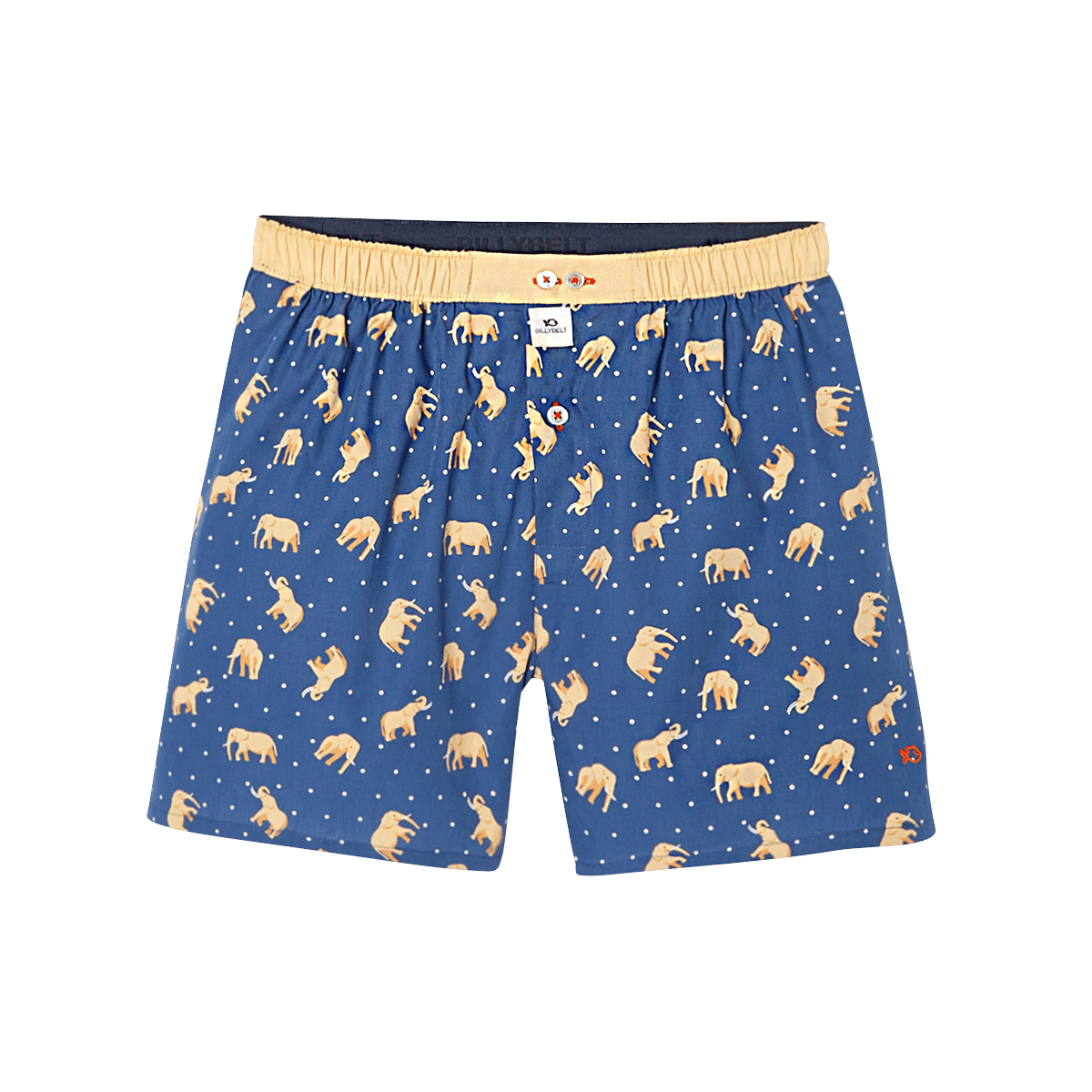 Caleçon en coton biologique BILLYBELT Bleu