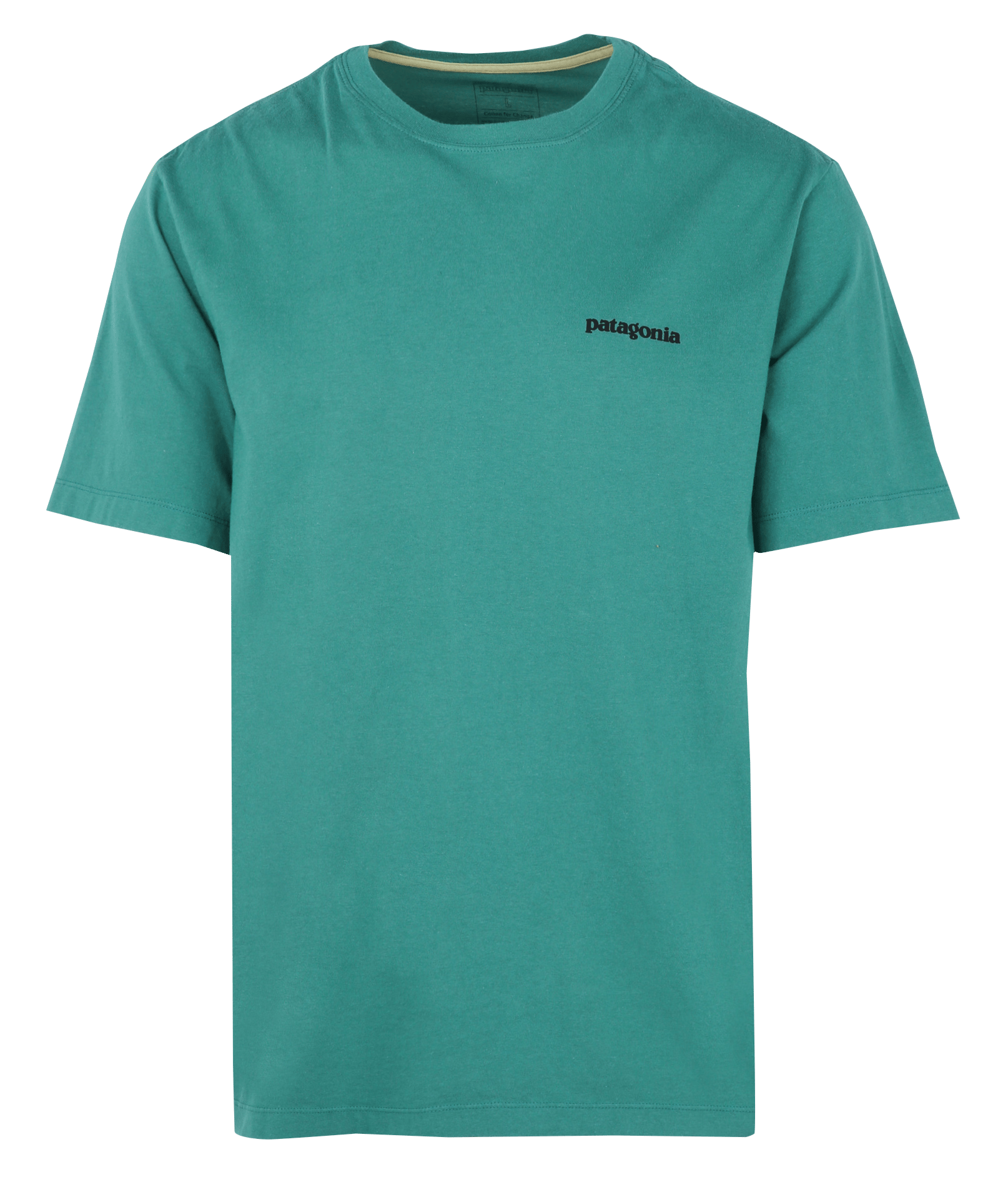 Oversized round neck T-shirt in organic cotton with screen printing PATAGONIA Green
