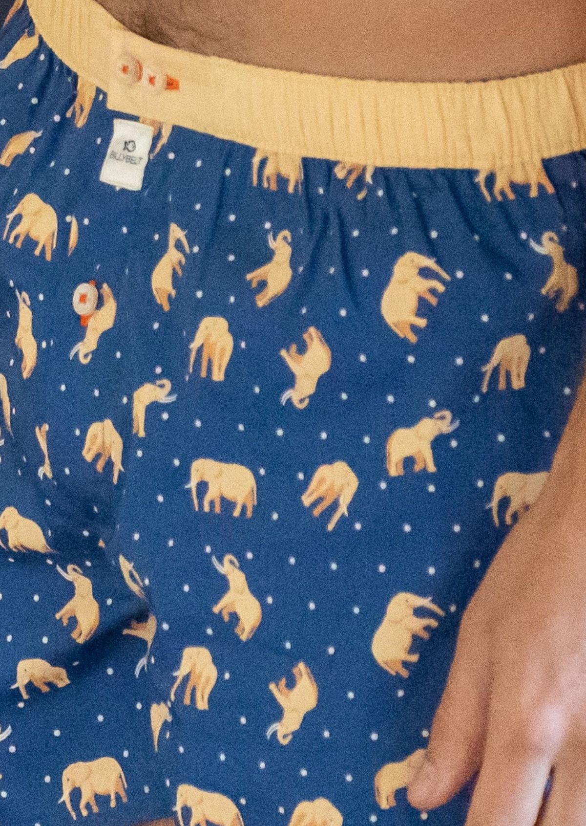 Caleçon en coton biologique BILLYBELT Bleu