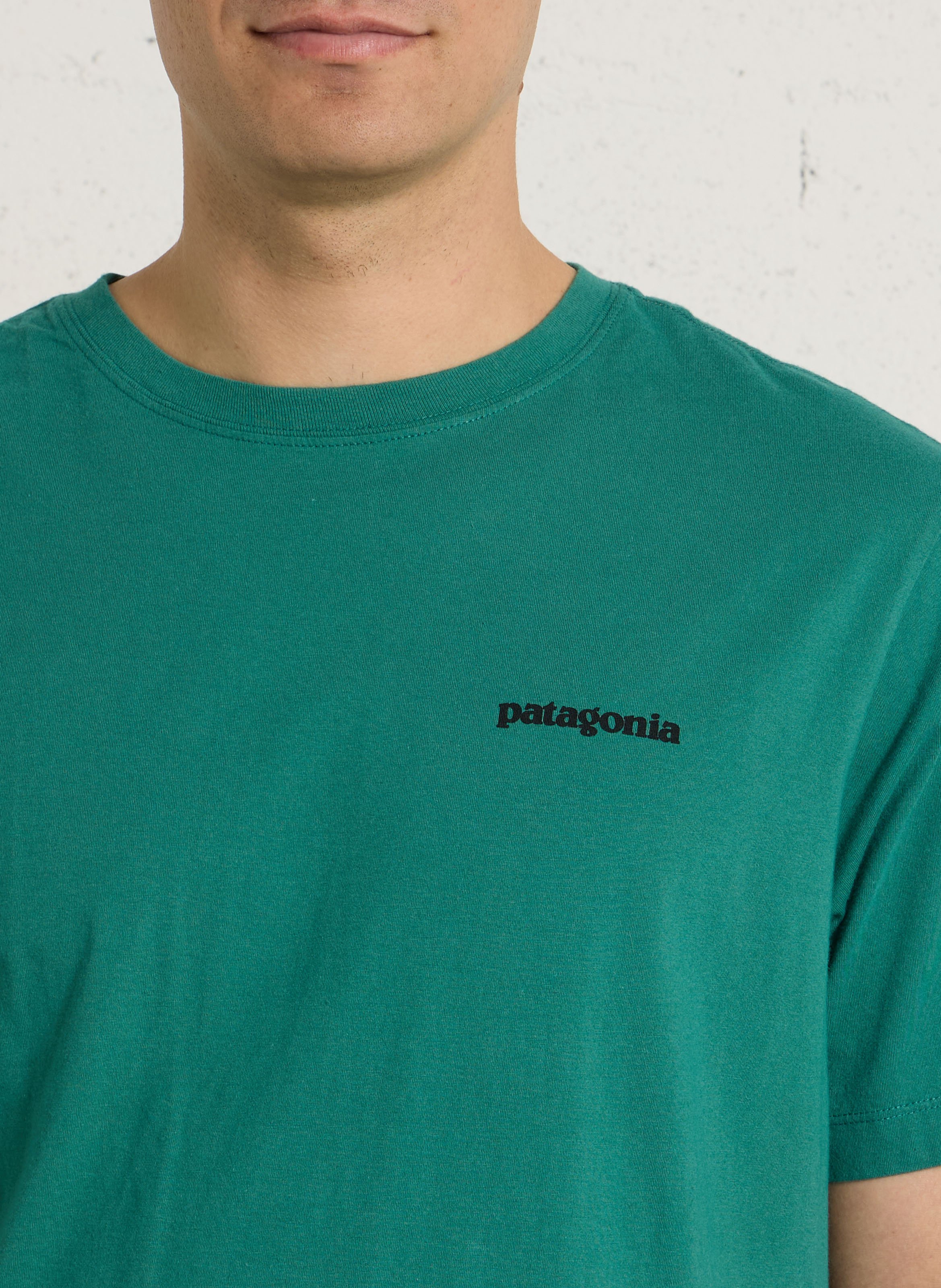 Oversized round neck T-shirt in organic cotton with screen printing PATAGONIA Green