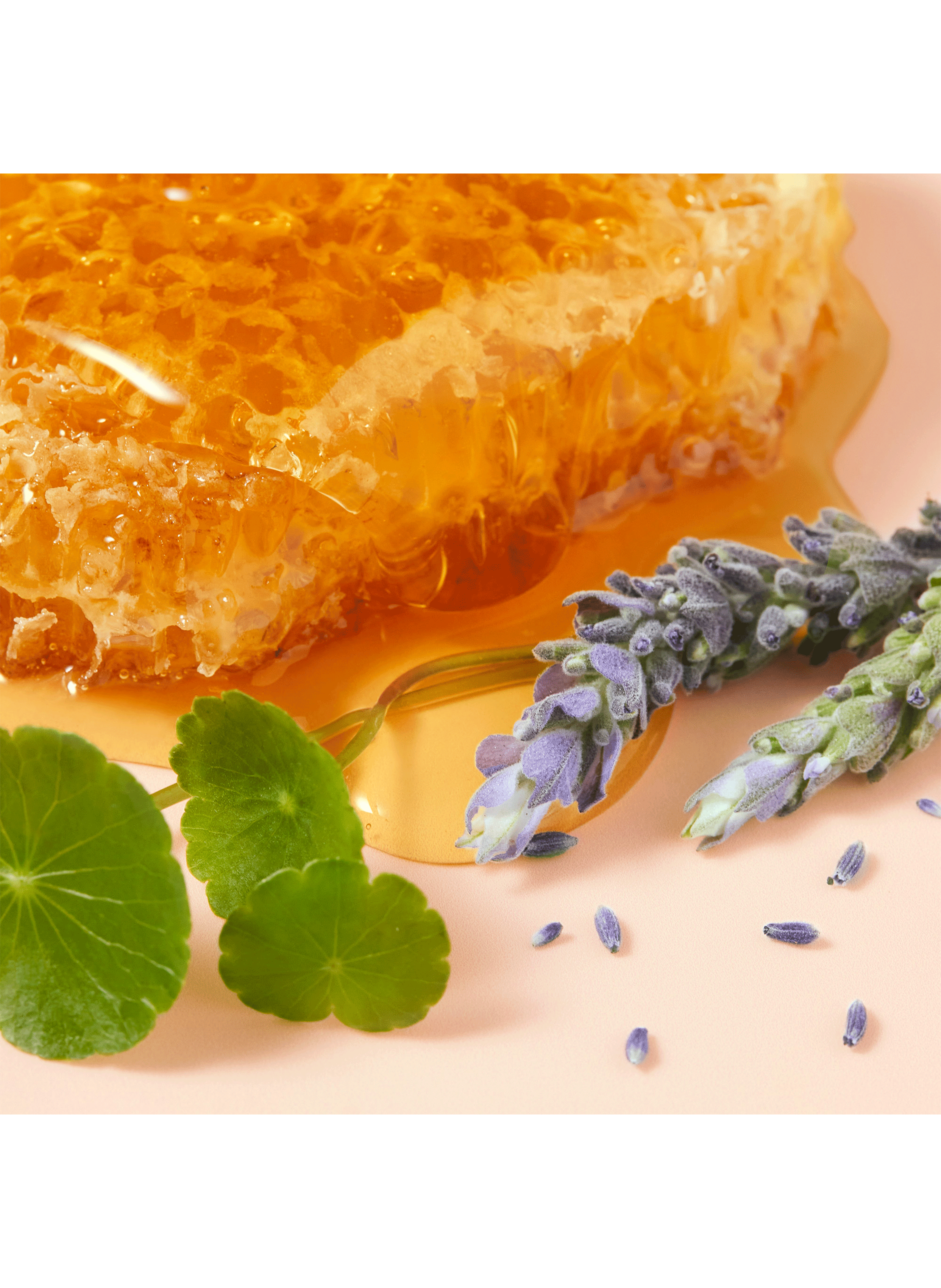 Rêve de Miel® CICA cream for dry, damaged hands NUXE No color