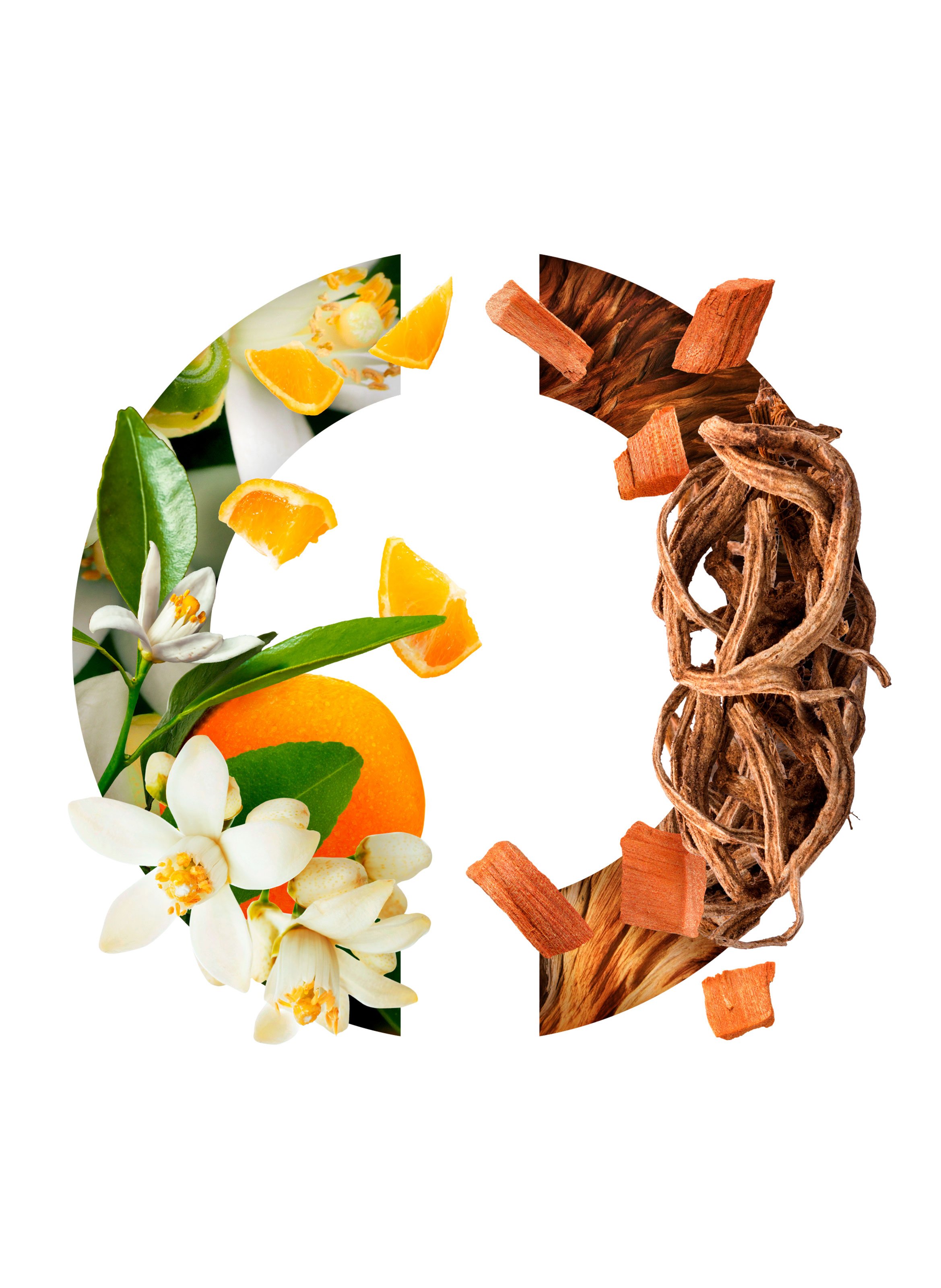 Eau de Parfum - Narcisse Noir CARON No color