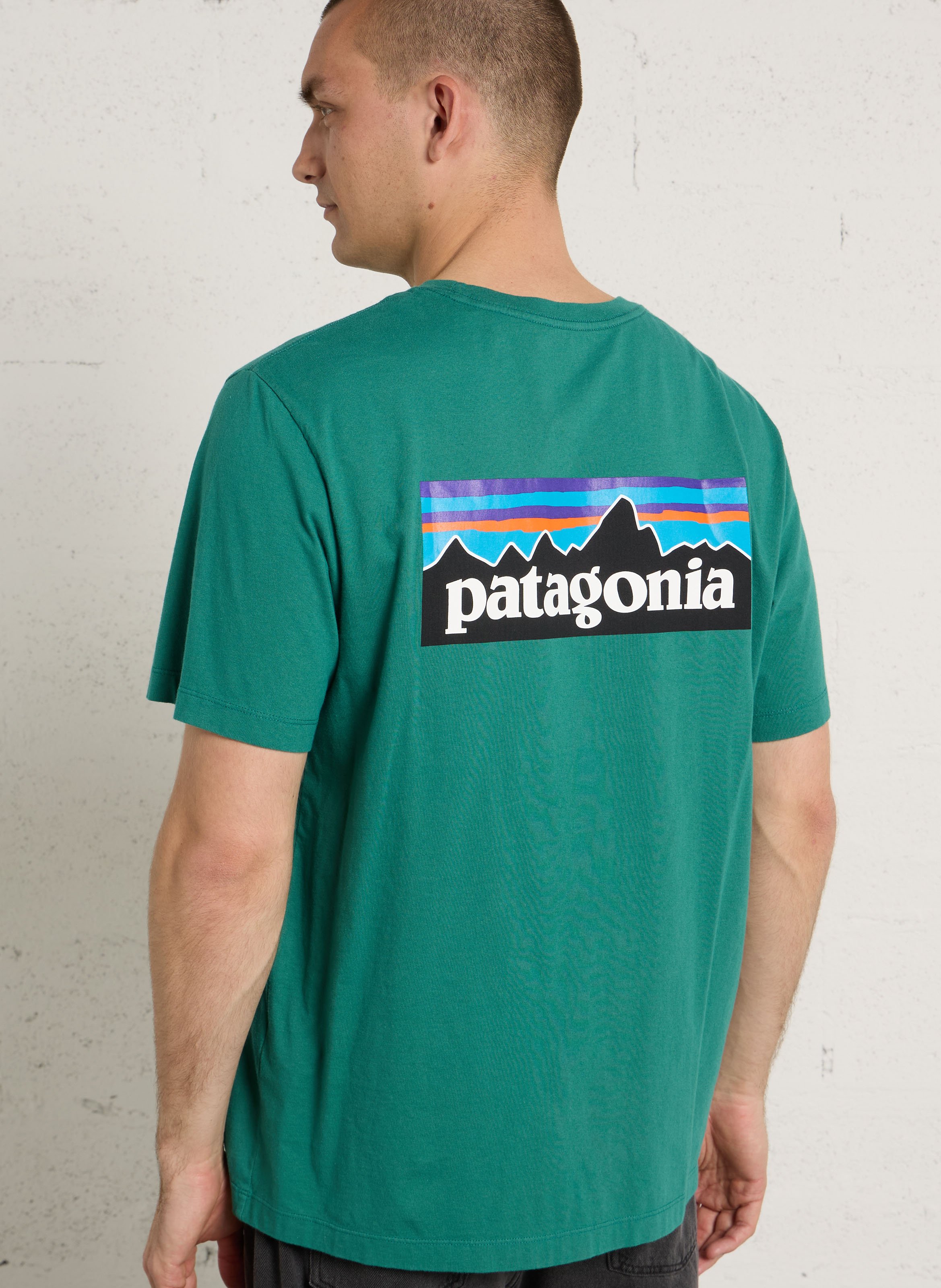 Oversized round neck T-shirt in organic cotton with screen printing PATAGONIA Green