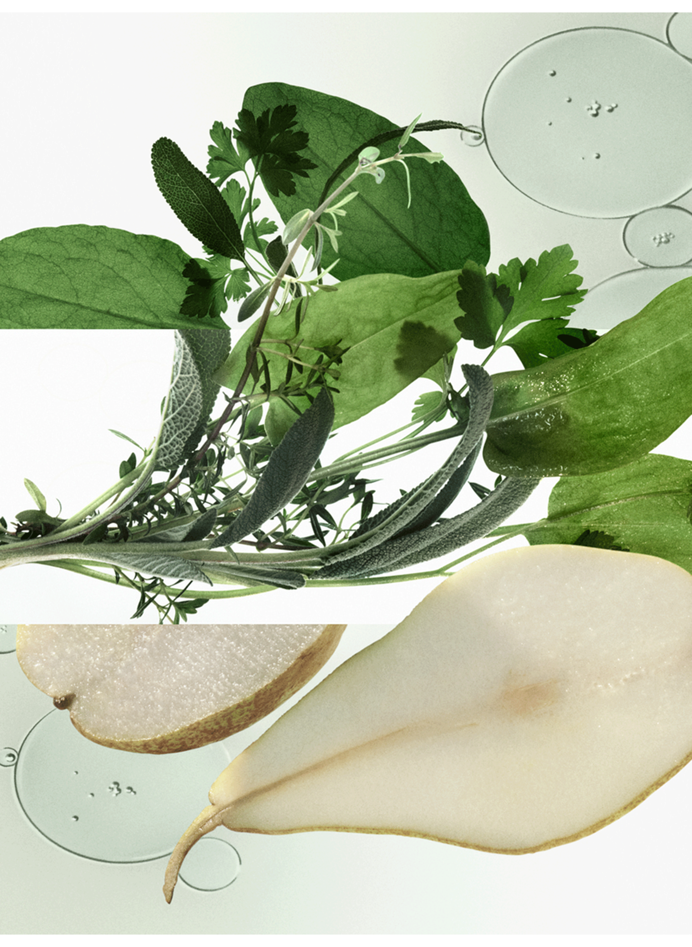 H24 Herbes Vives, Recharge eau de parfum HERMÈS No color