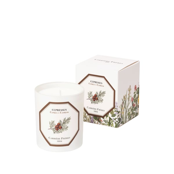 Bougie Parfumée Cyprès - Cupressus
