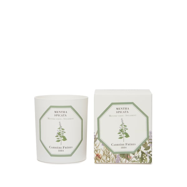 Bougie Parfumée Menthe Verte - Mentha Spicata - 185 g