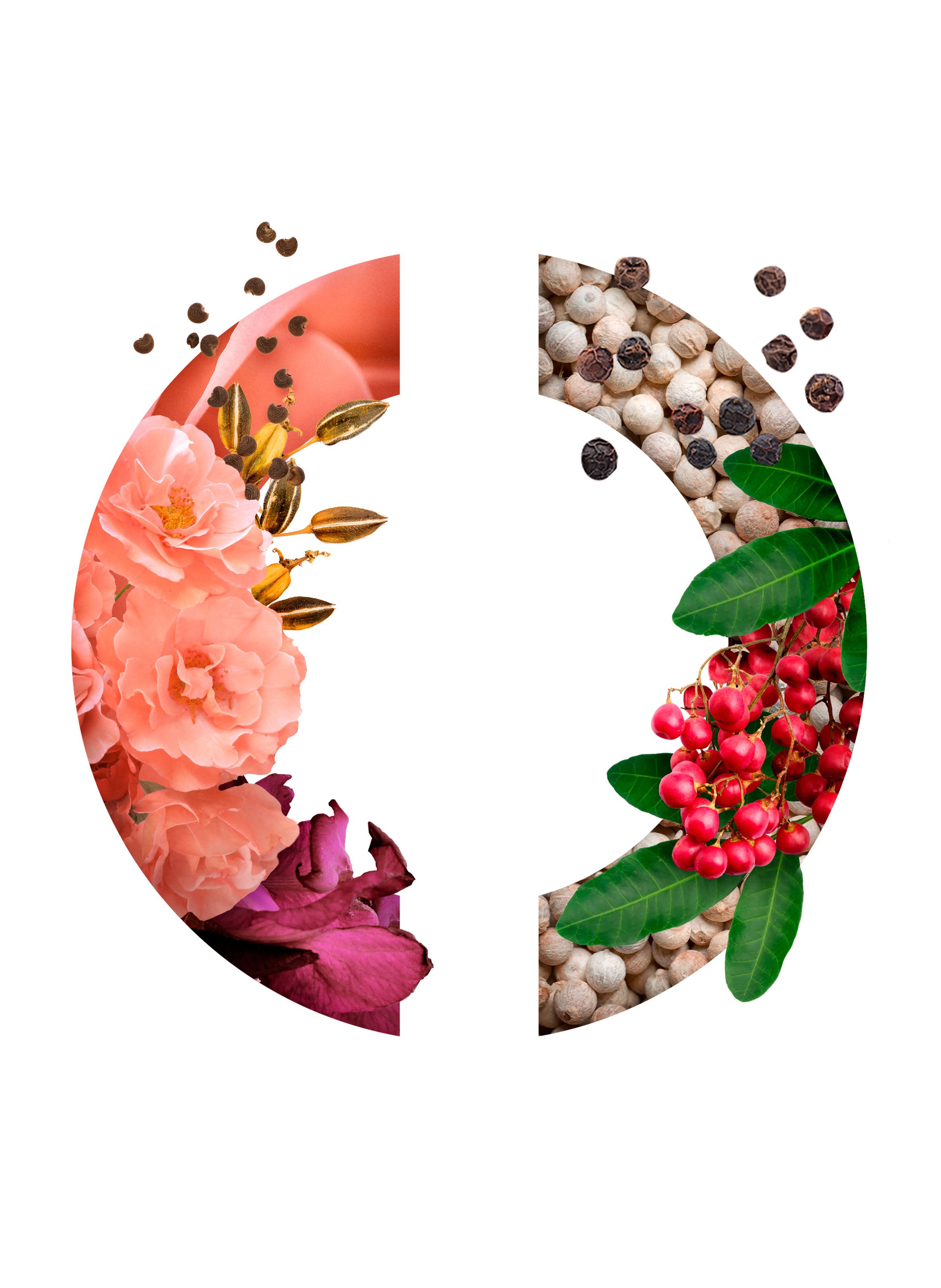 Eau de Parfum - Rose Ivoire CARON No color