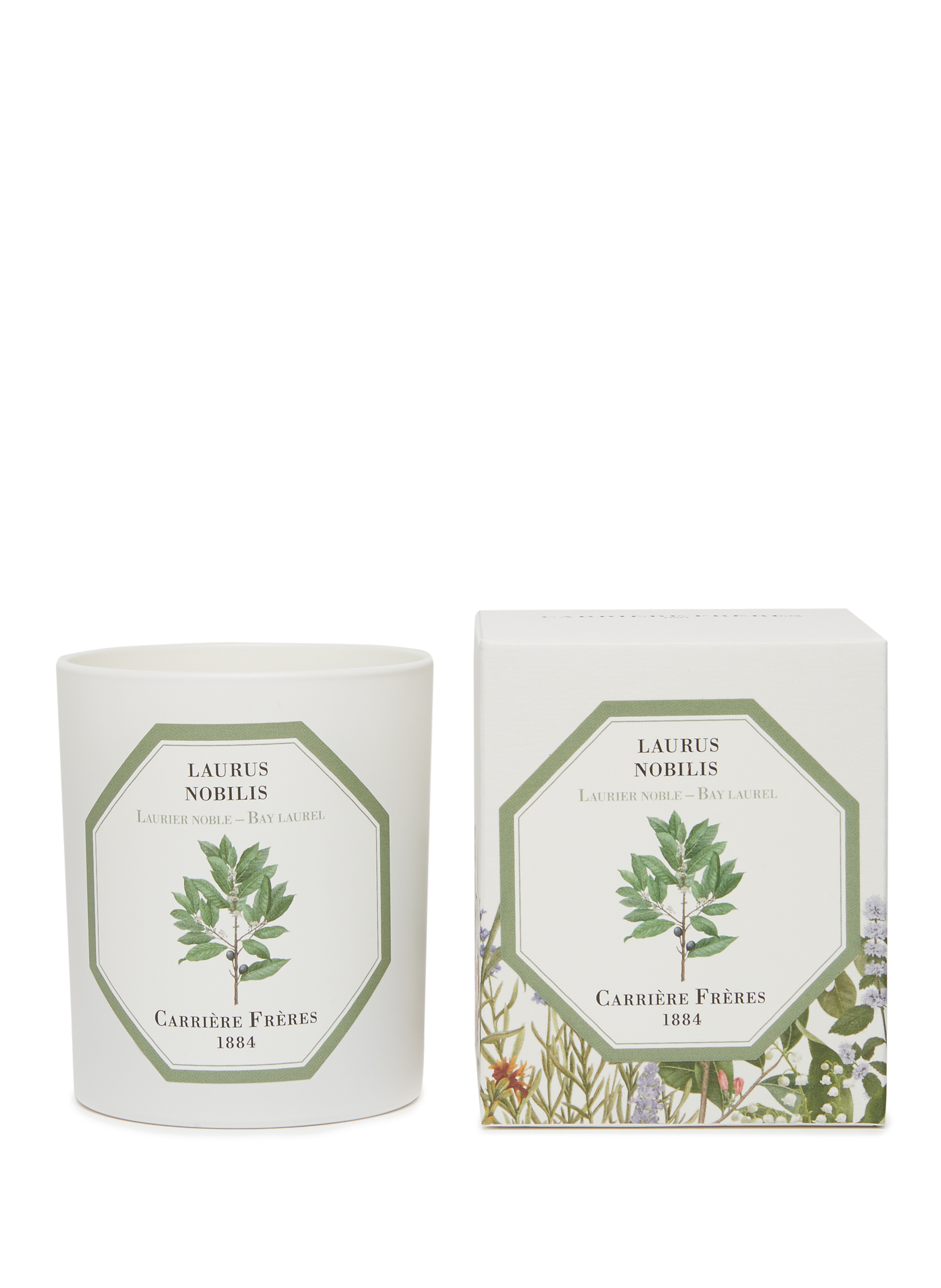 Bougie Parfumée Laurier Noble - Laurus Nobilis - 185 g