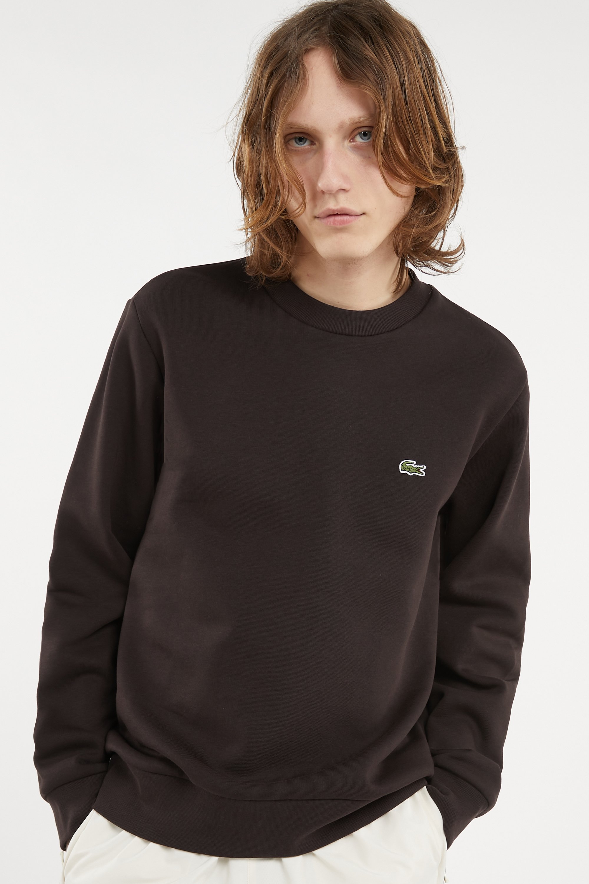 Sweatshirt sweat LACOSTE Marron