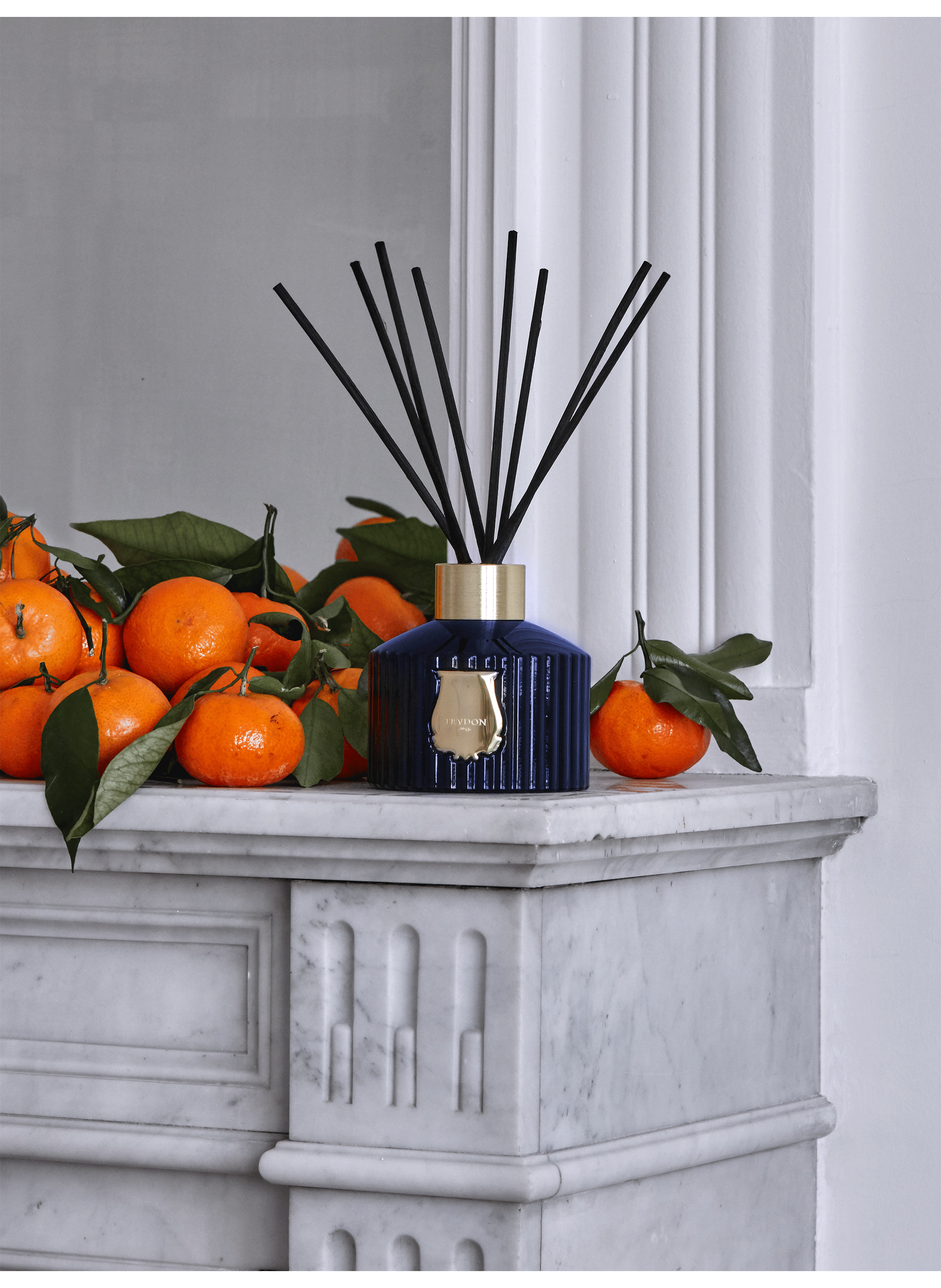 Belles Matières Reggio diffuser 350 ml (11.8 fl oz) TRUDON No color