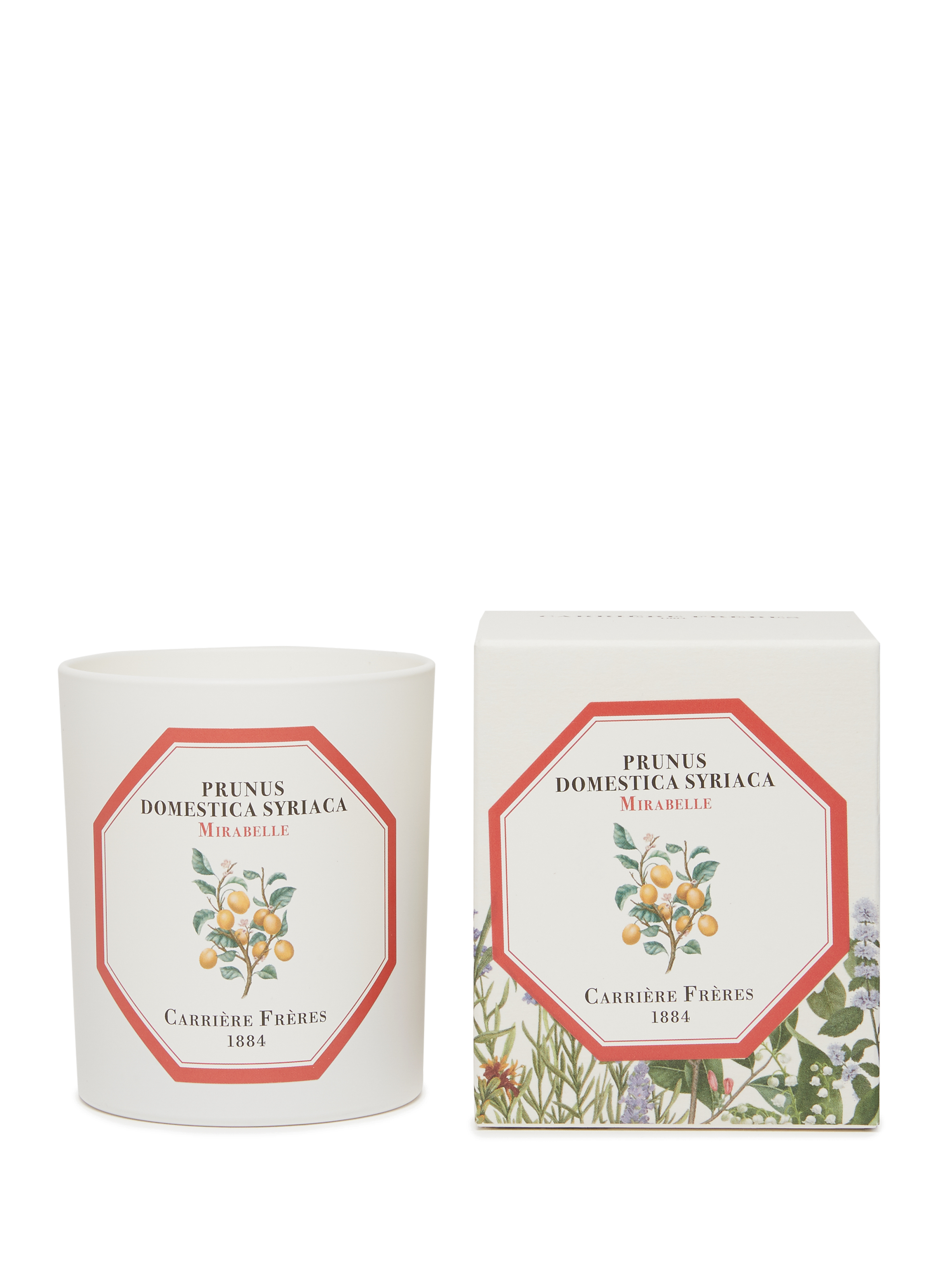 Bougie Parfumée Mirabelle - Prunus Domestica Syriaca - 185 g