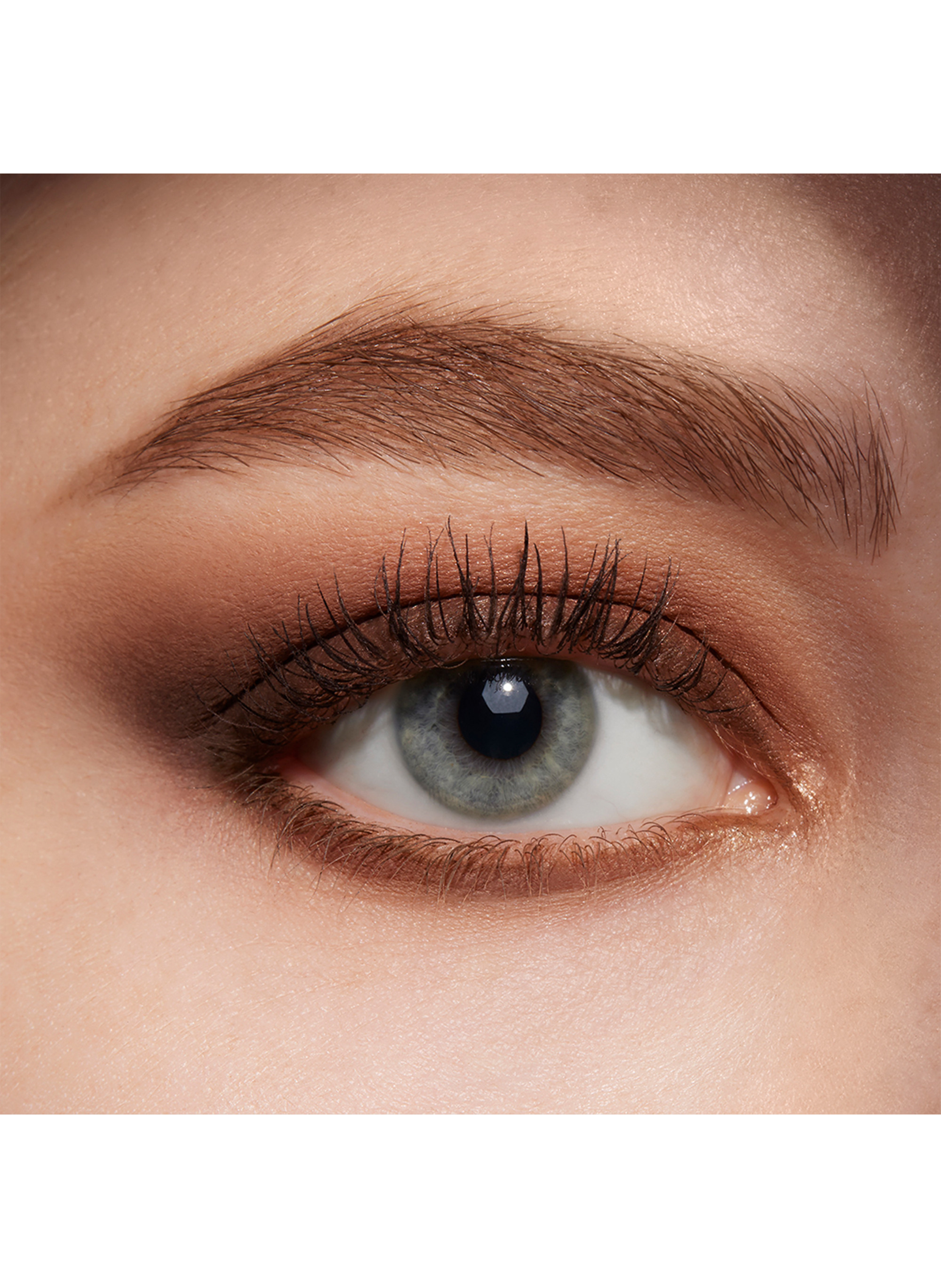 Pure Color Envy Ombres à paupières Sculptantes ESTÉE LAUDER 04 - desert dunes