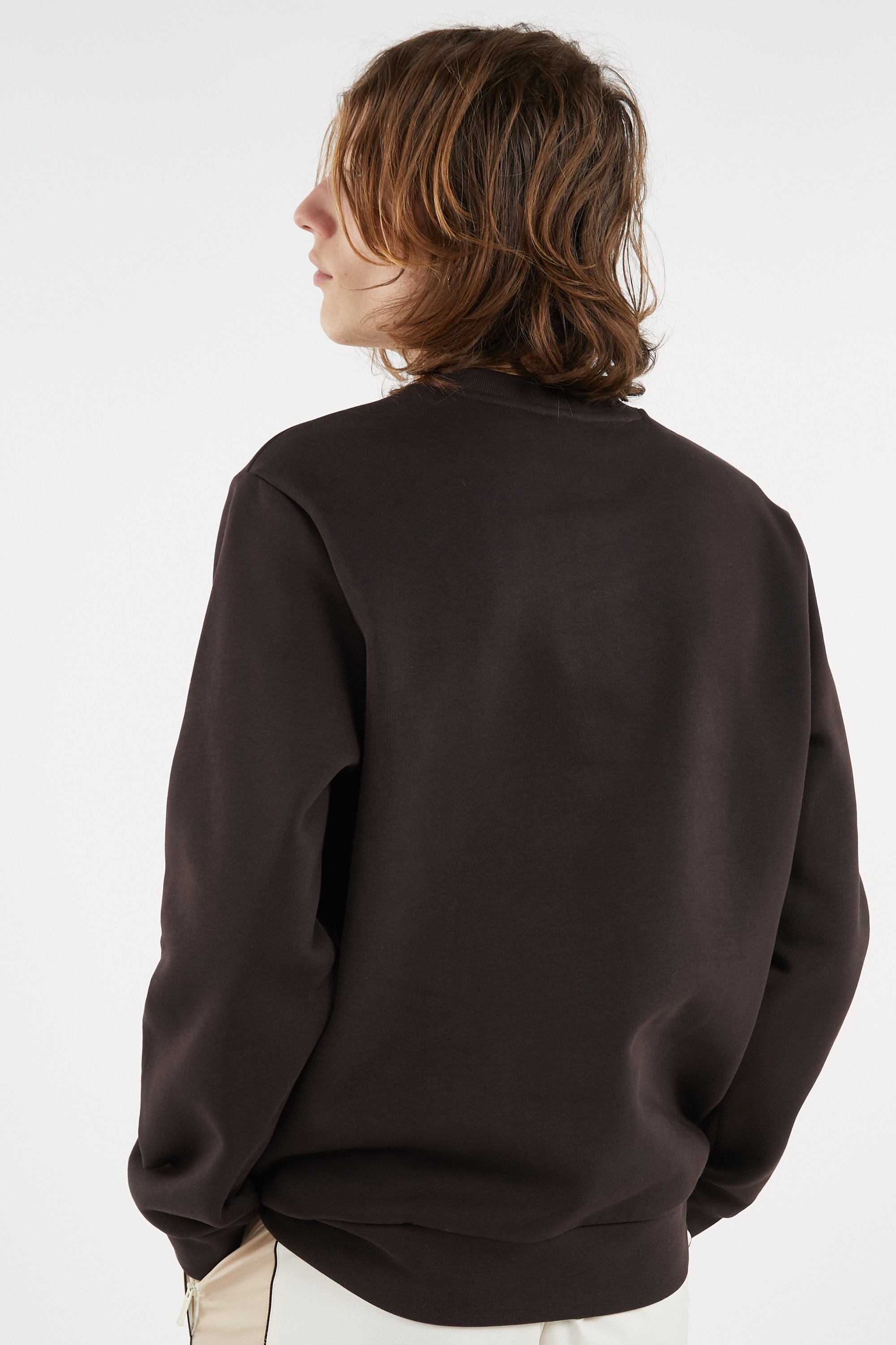Sweatshirt sweat LACOSTE Marron