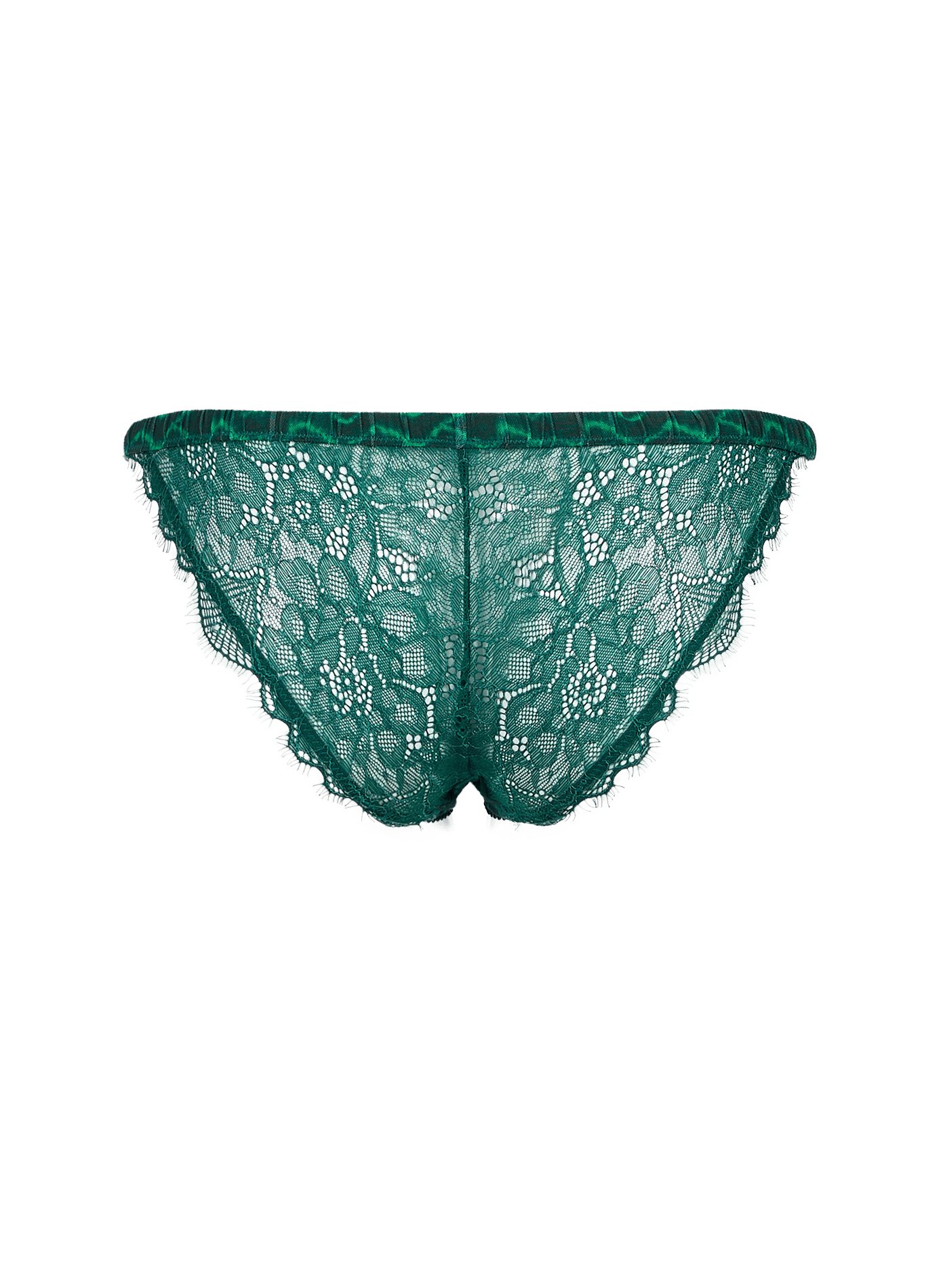 Culotte imprimée LOVE STORIES Vert