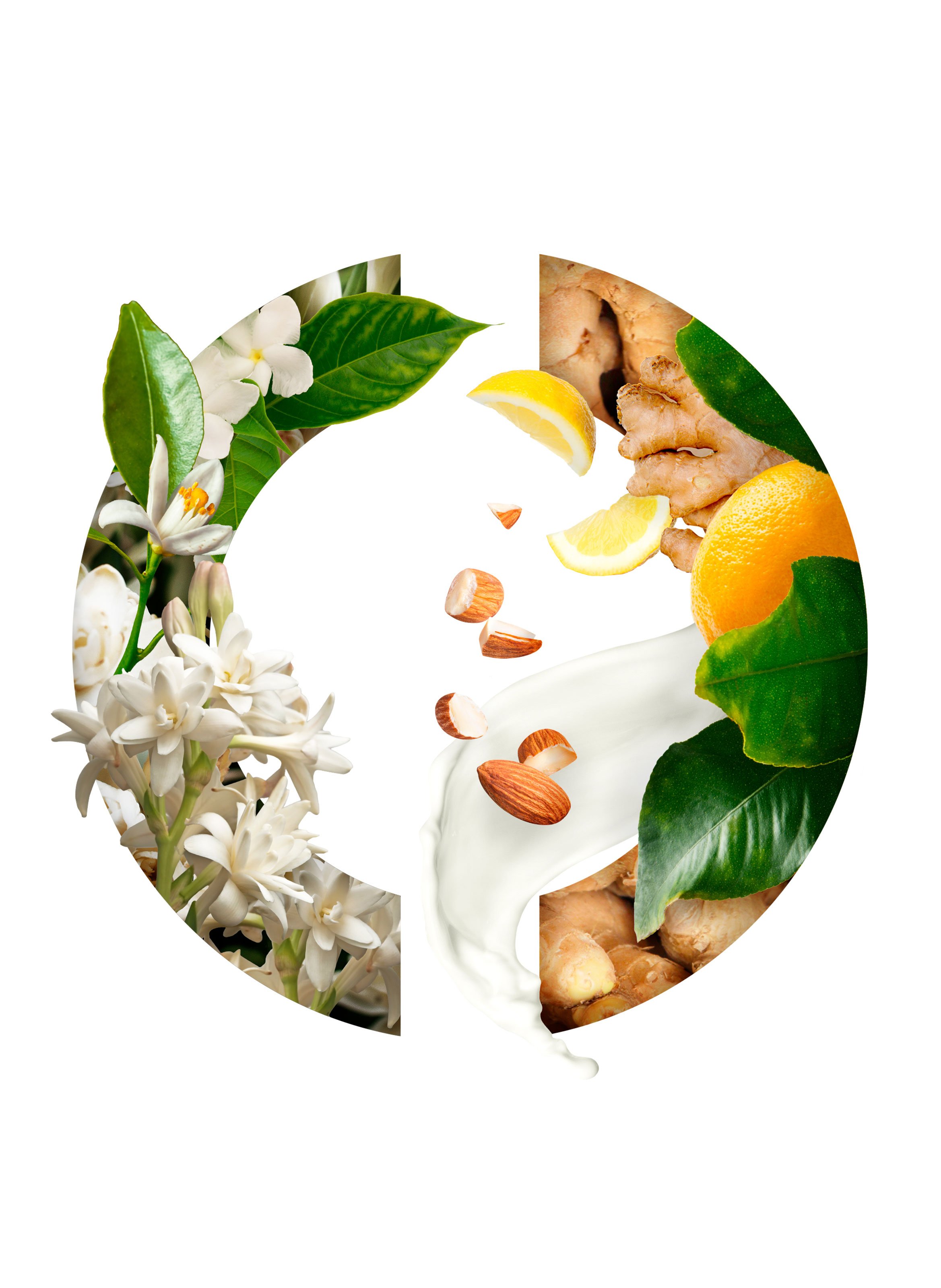 Eau de Parfum - Tubéreuse Merveilleuse CARON No color