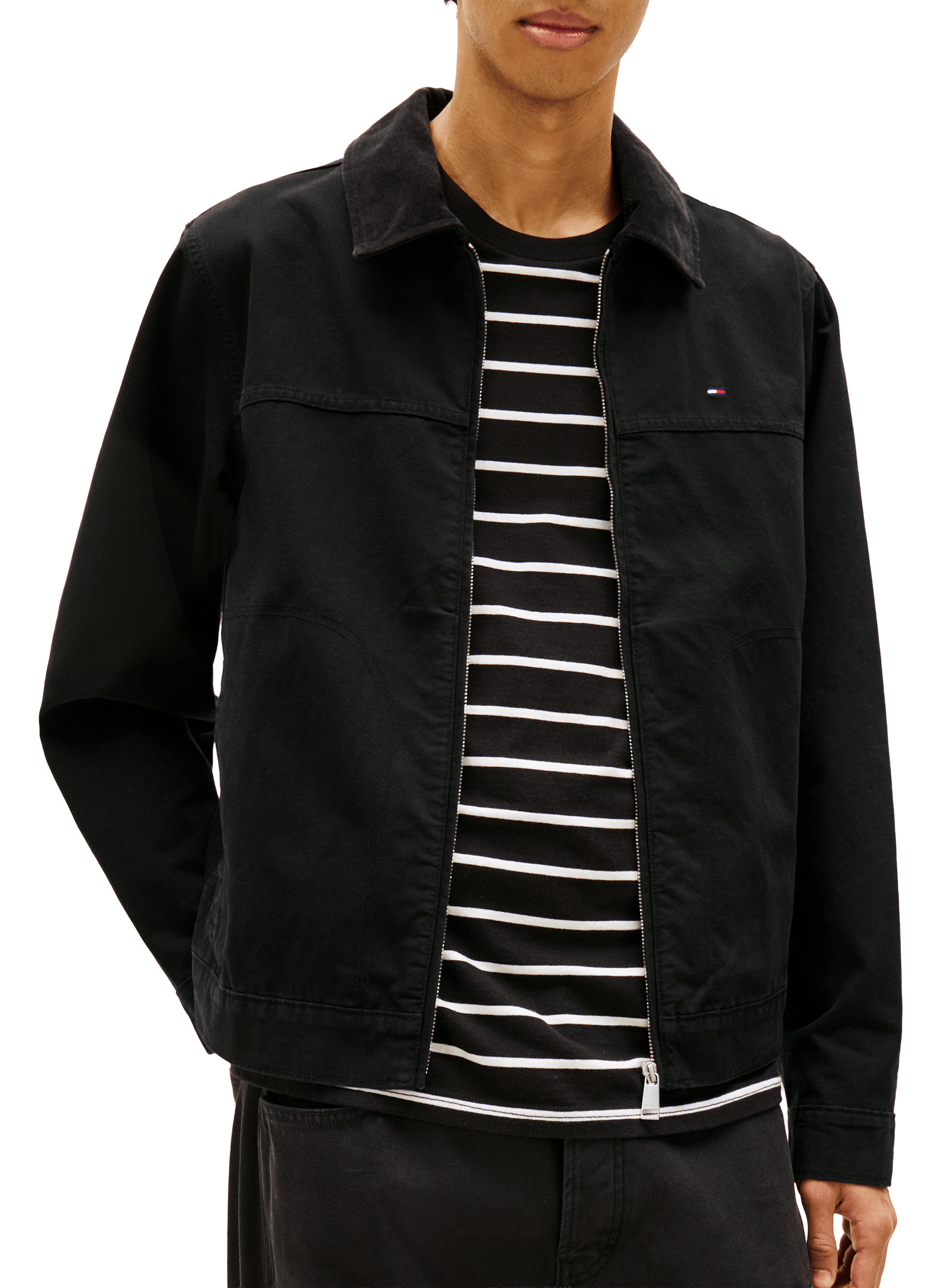 Straight jacket with contrast collar in organic cotton TOMMY HILFIGER Black