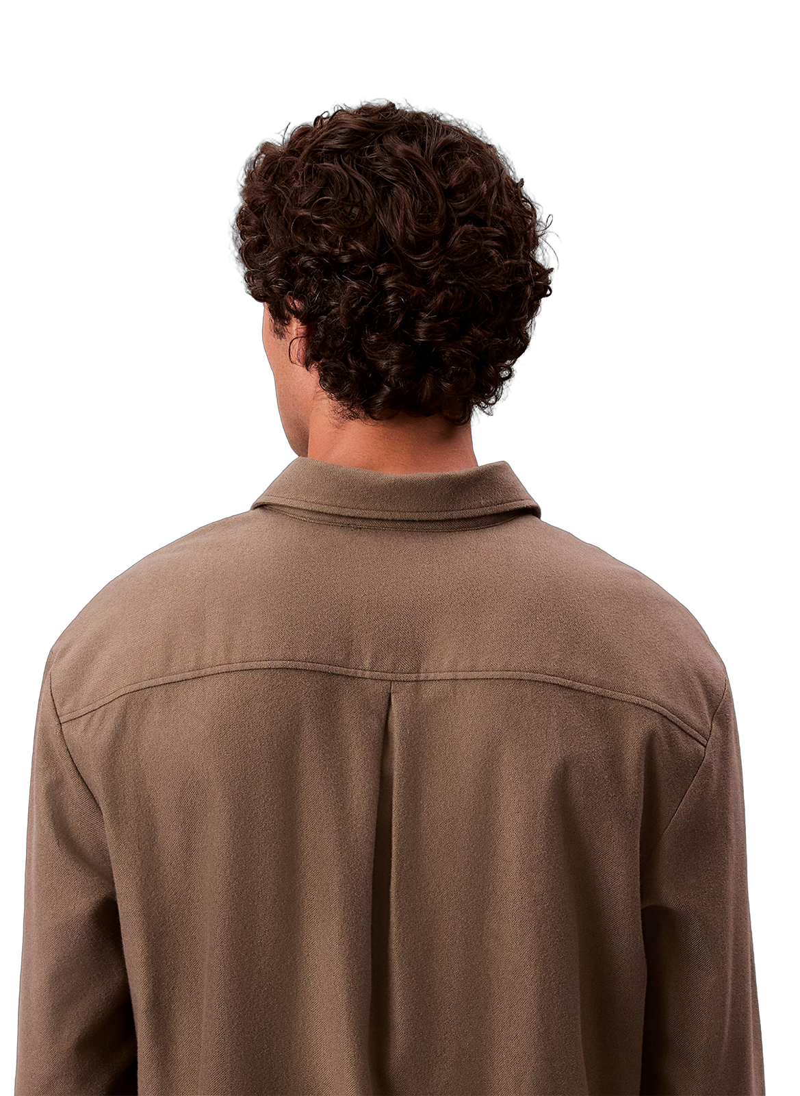 Chemise regular fit en coton CALVIN KLEIN Kaki