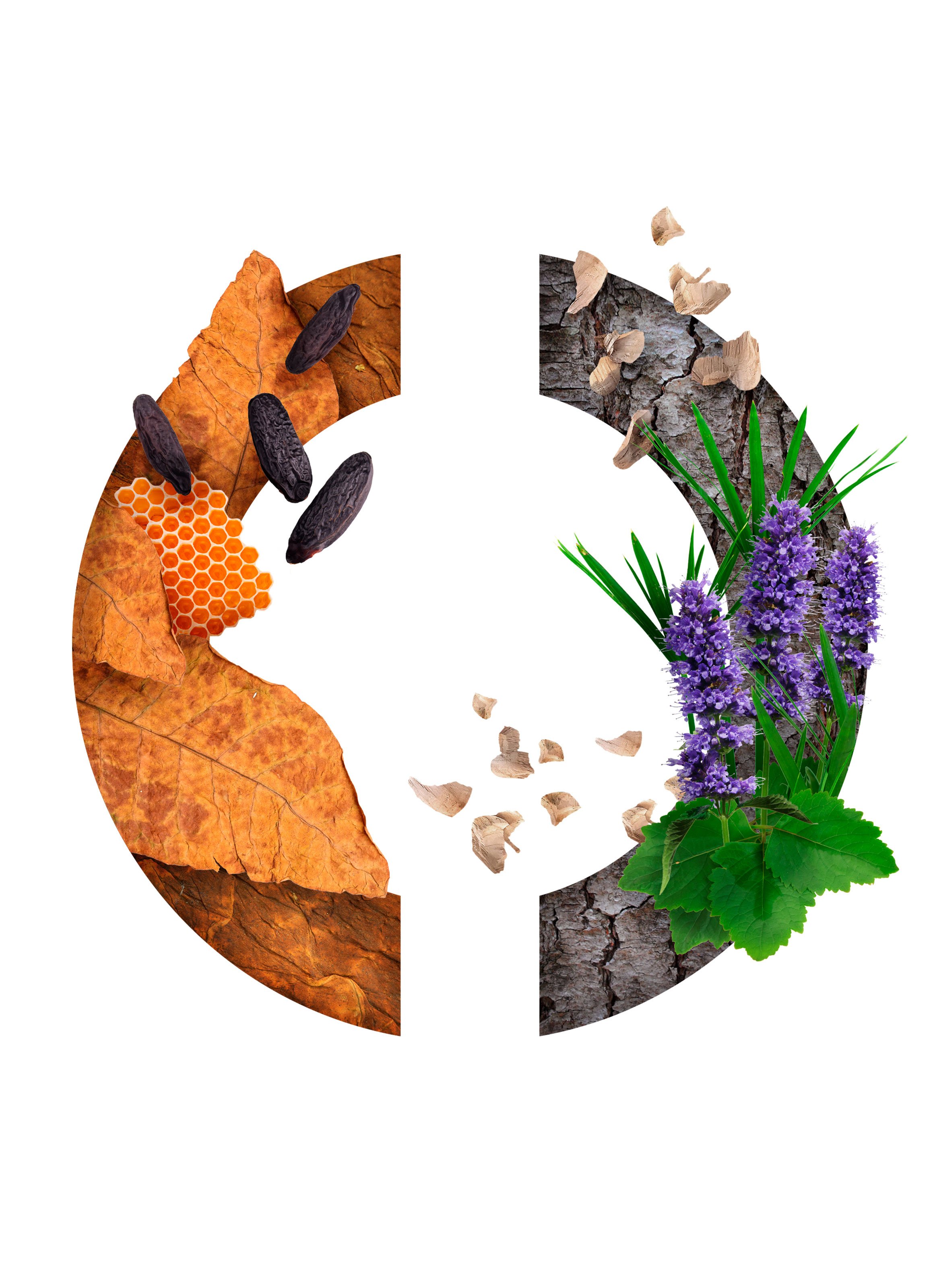 Eau de Parfum - Tabac Noir CARON No color