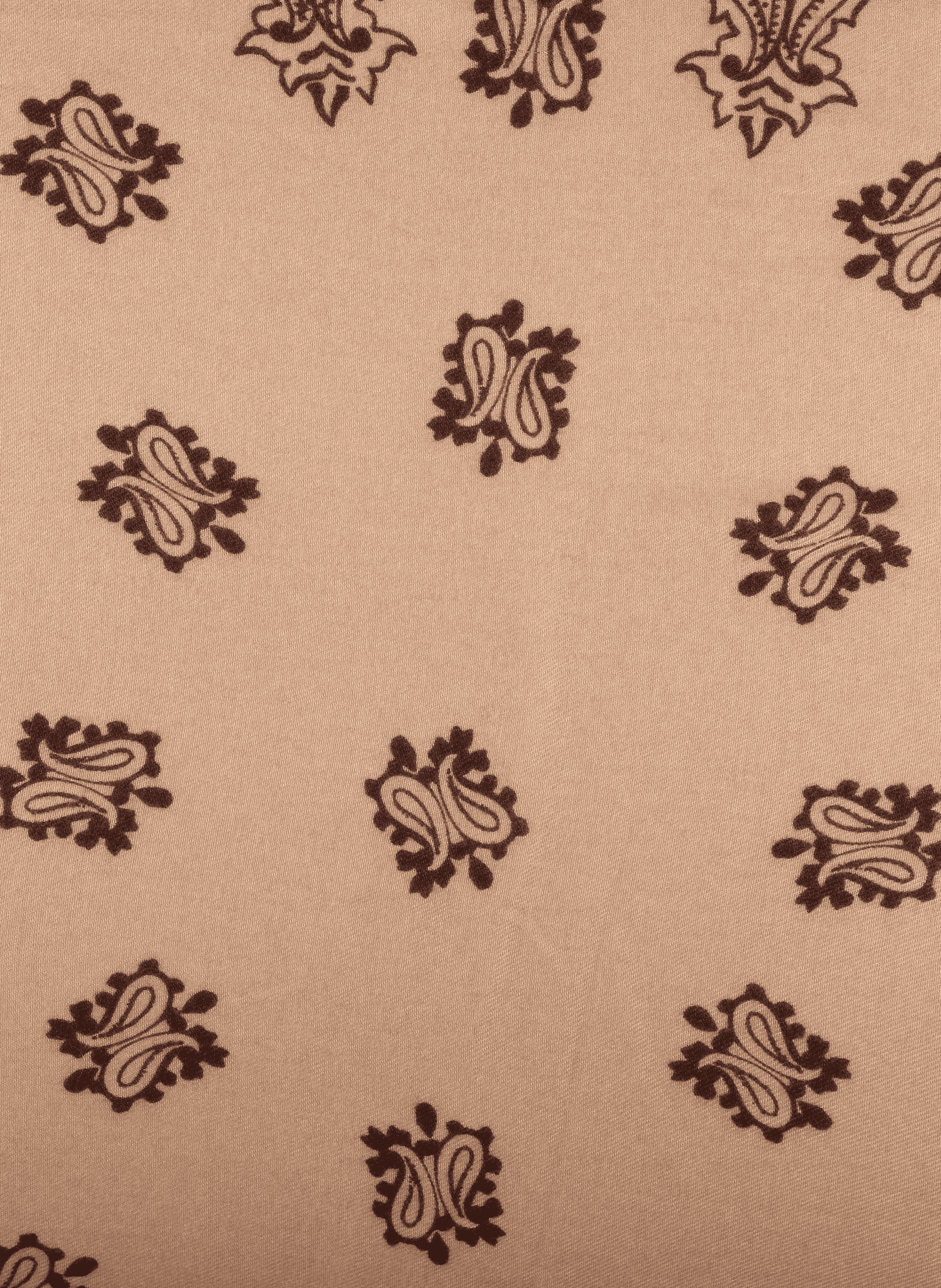 Printed fringed scarf AU PRINTEMPS PARIS Beige