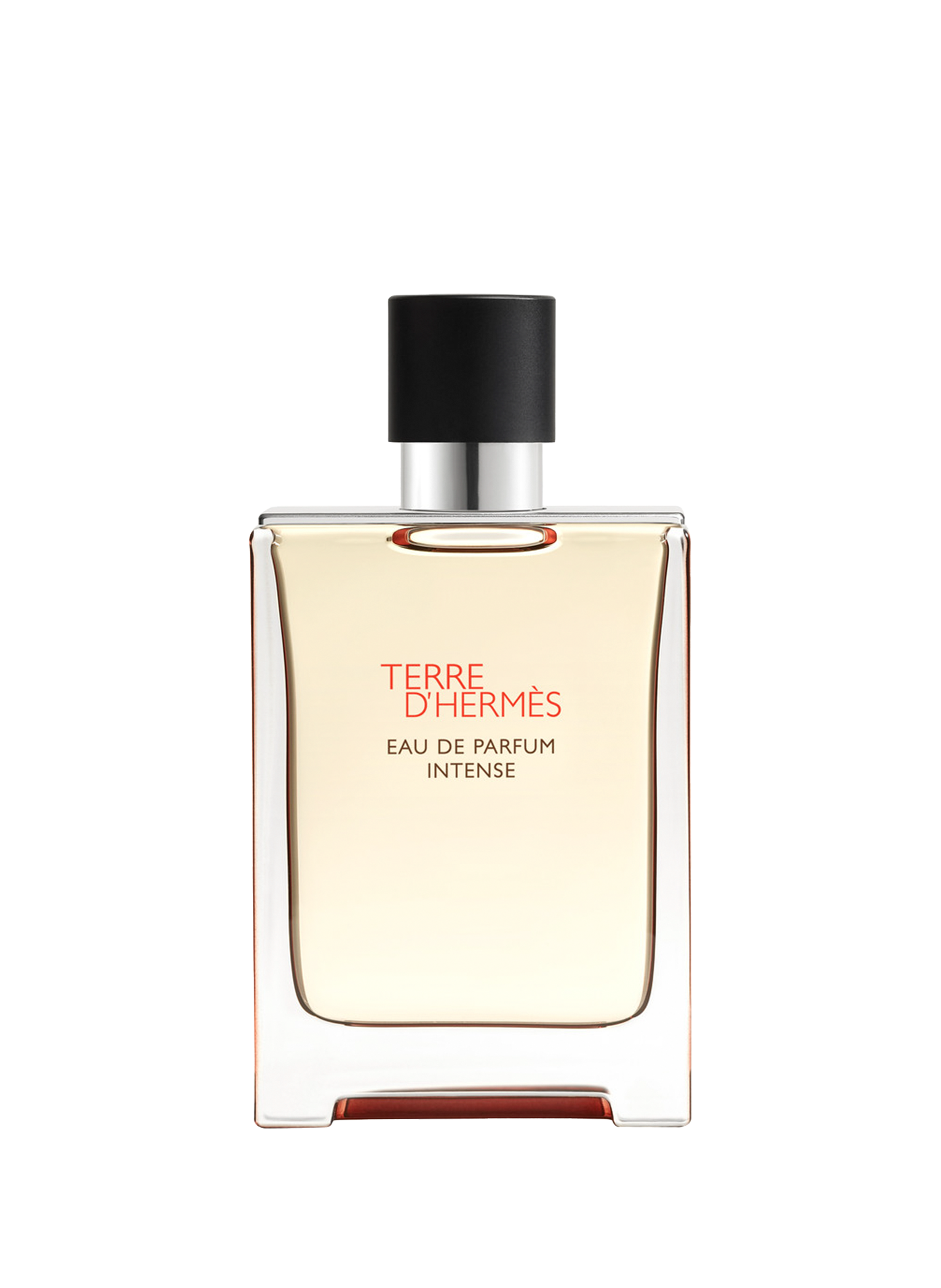 HERMÈS Terre d'Hermès - Intense Eau de Parfum No color