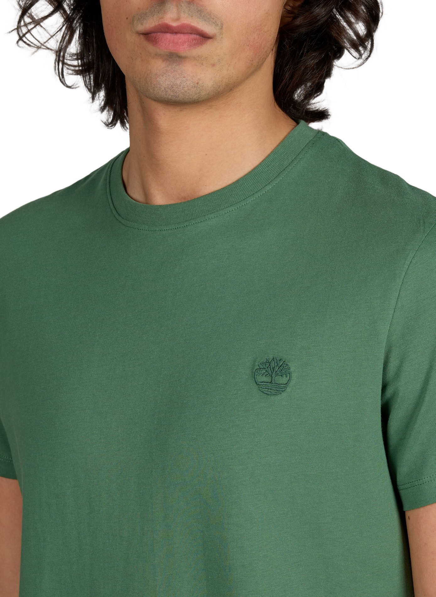 T-shirt slim en coton TIMBERLAND Vert