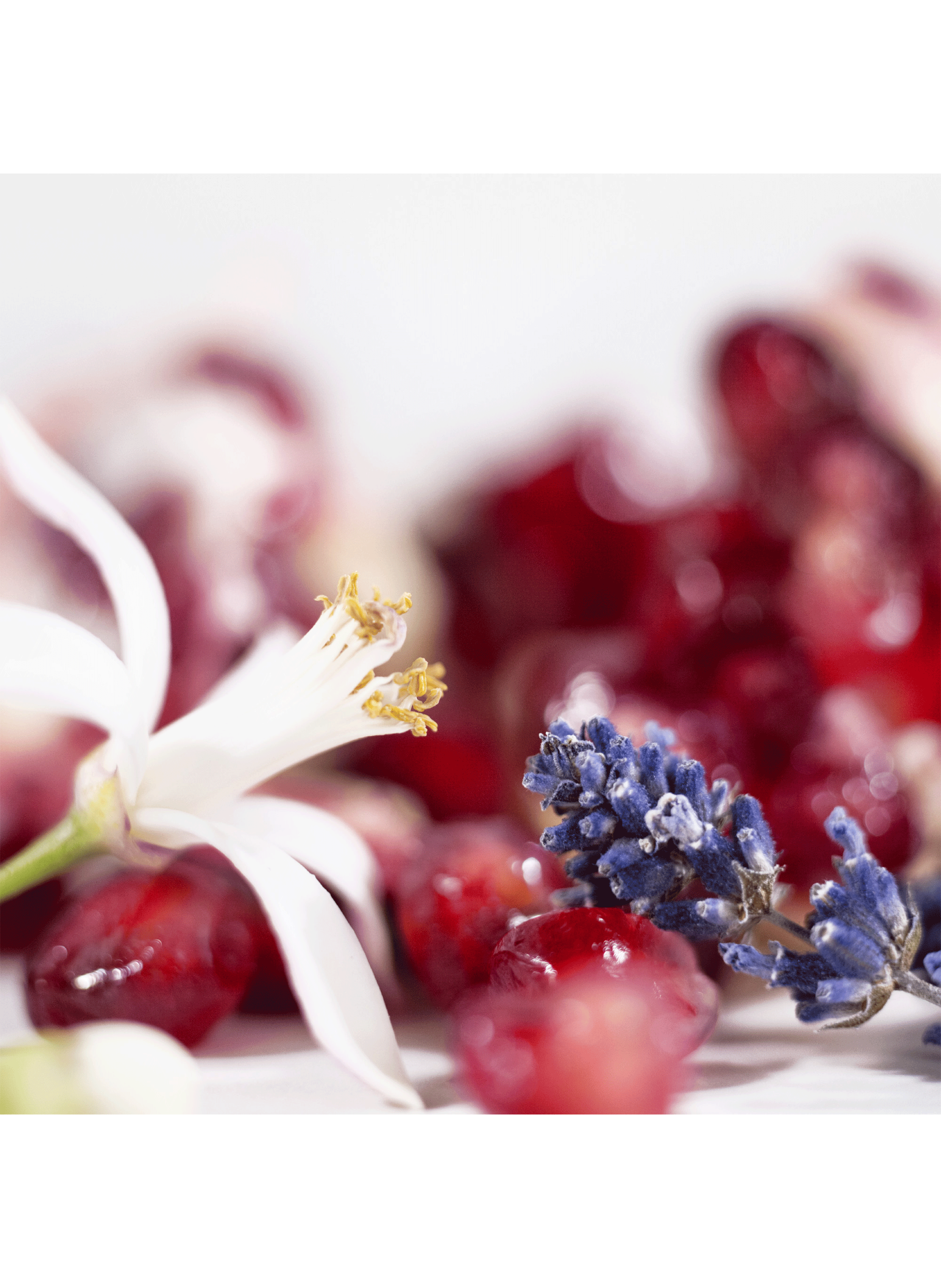Libre Brume parfumée pour cheveux YVES SAINT LAURENT No color