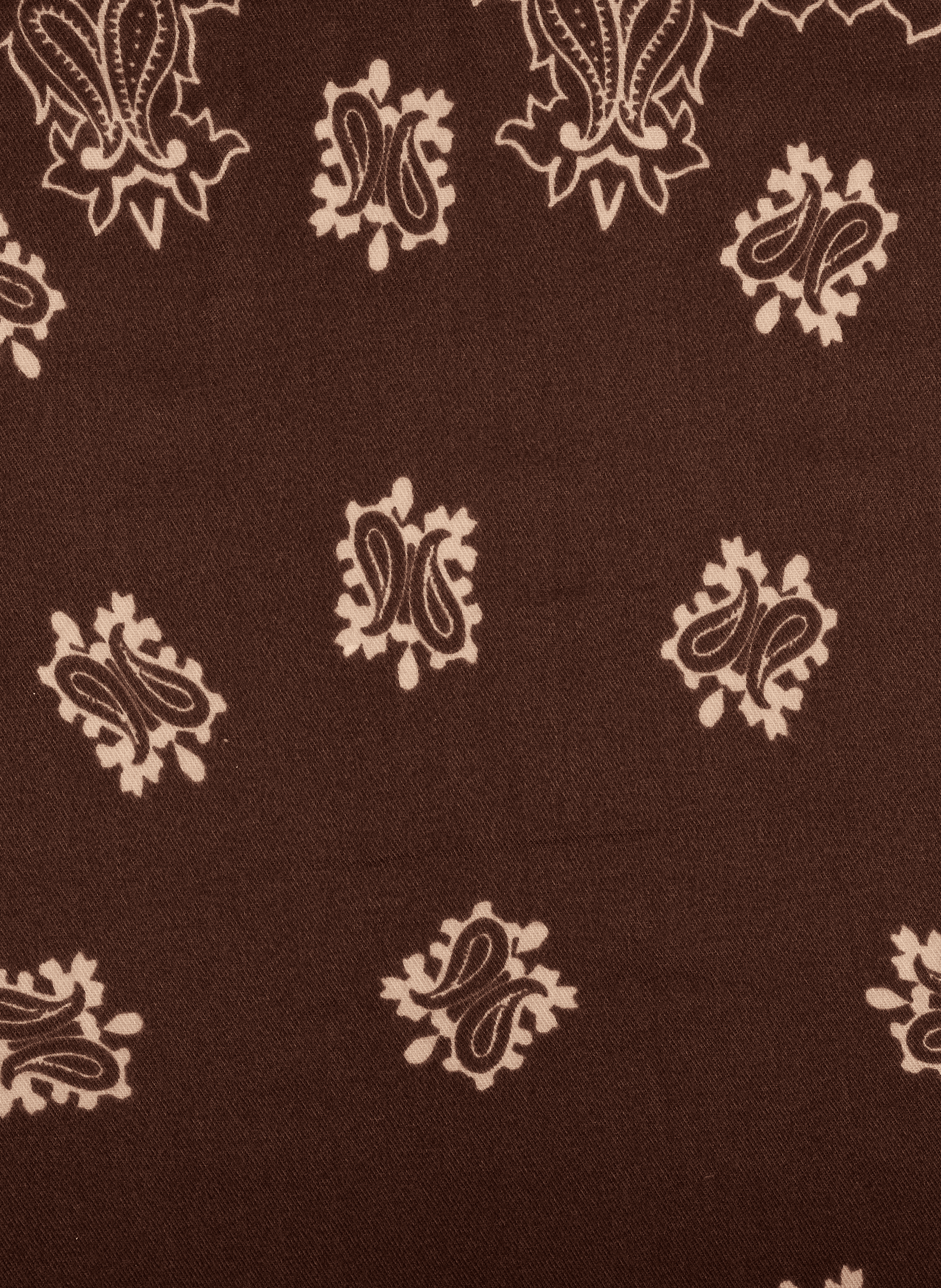 Printed fringed scarf AU PRINTEMPS PARIS Brown