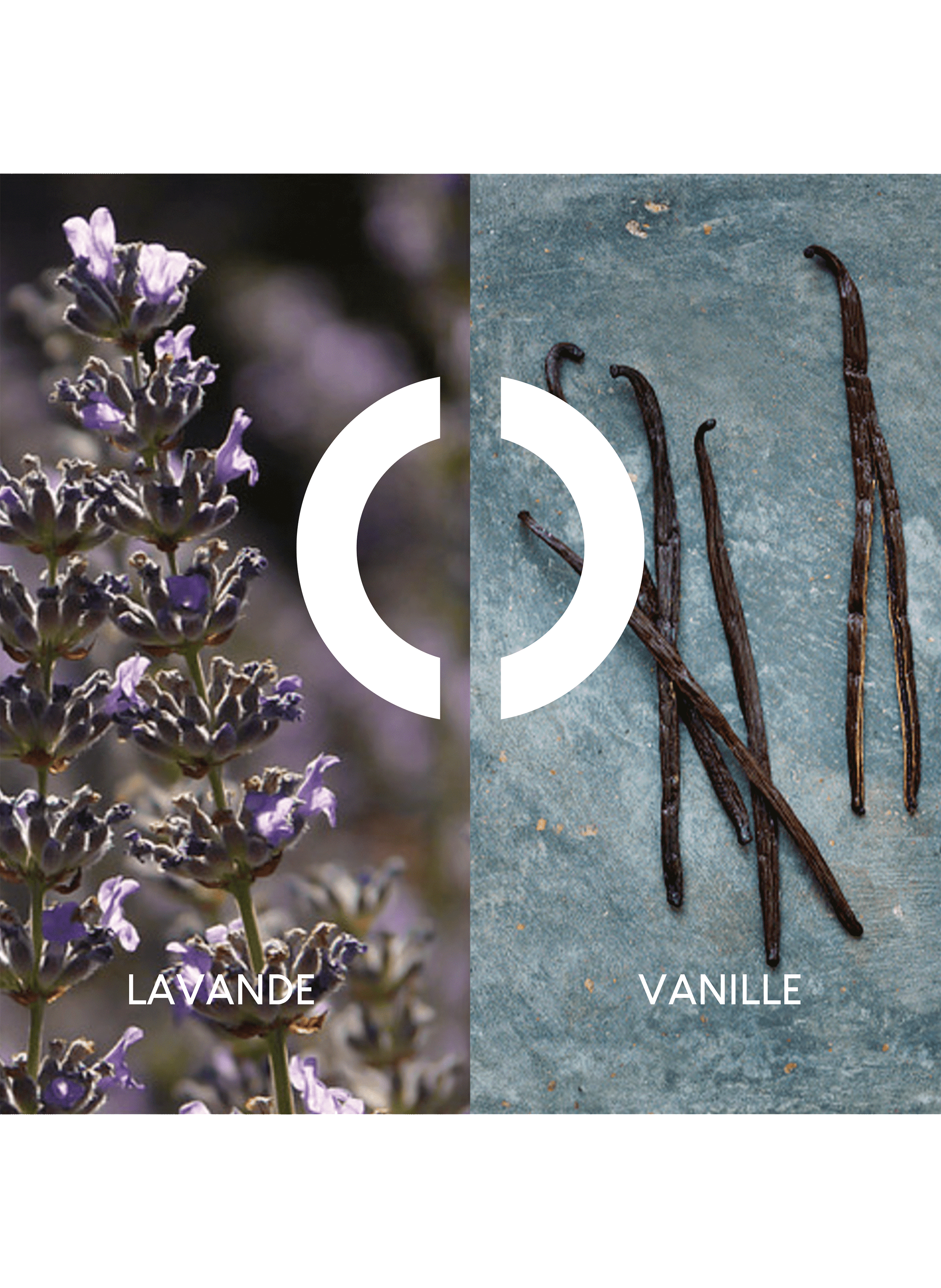 Eau de Toilette vaporisateur St. Valentin - Pour Un Homme CARON No color