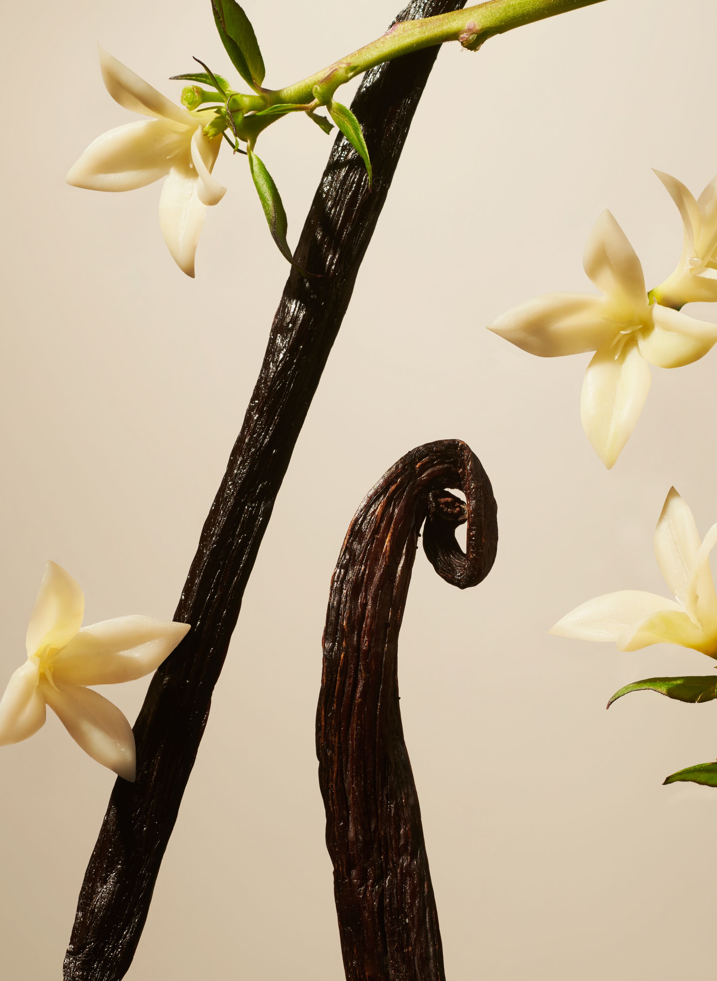 Private Collection - Coffret Maison Suede Vanilla RITUALS No color